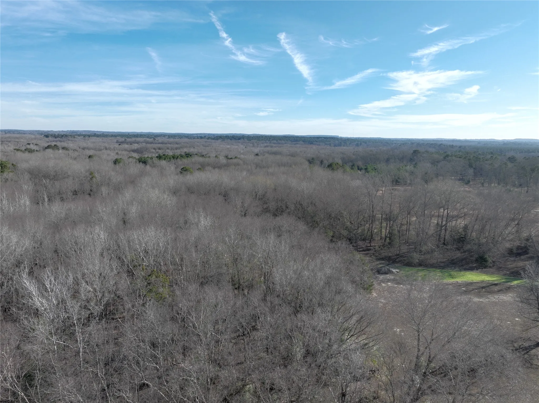 Unimproved Land For Sale in Wood County , TBD County Road 3170, Quitman, Texas 75783, 0, 0, Garage spaces, 0 Sqft, built in 0, Price $725,000, mls#21149889, Real Estate Agent in Quitman, Homes For Sale in Wood county, Homes For Sale in Quitman, Realtor in Quitman Texas, Real Estate Brokerage Independent Realty Texas, Luminita Cordes Realtor