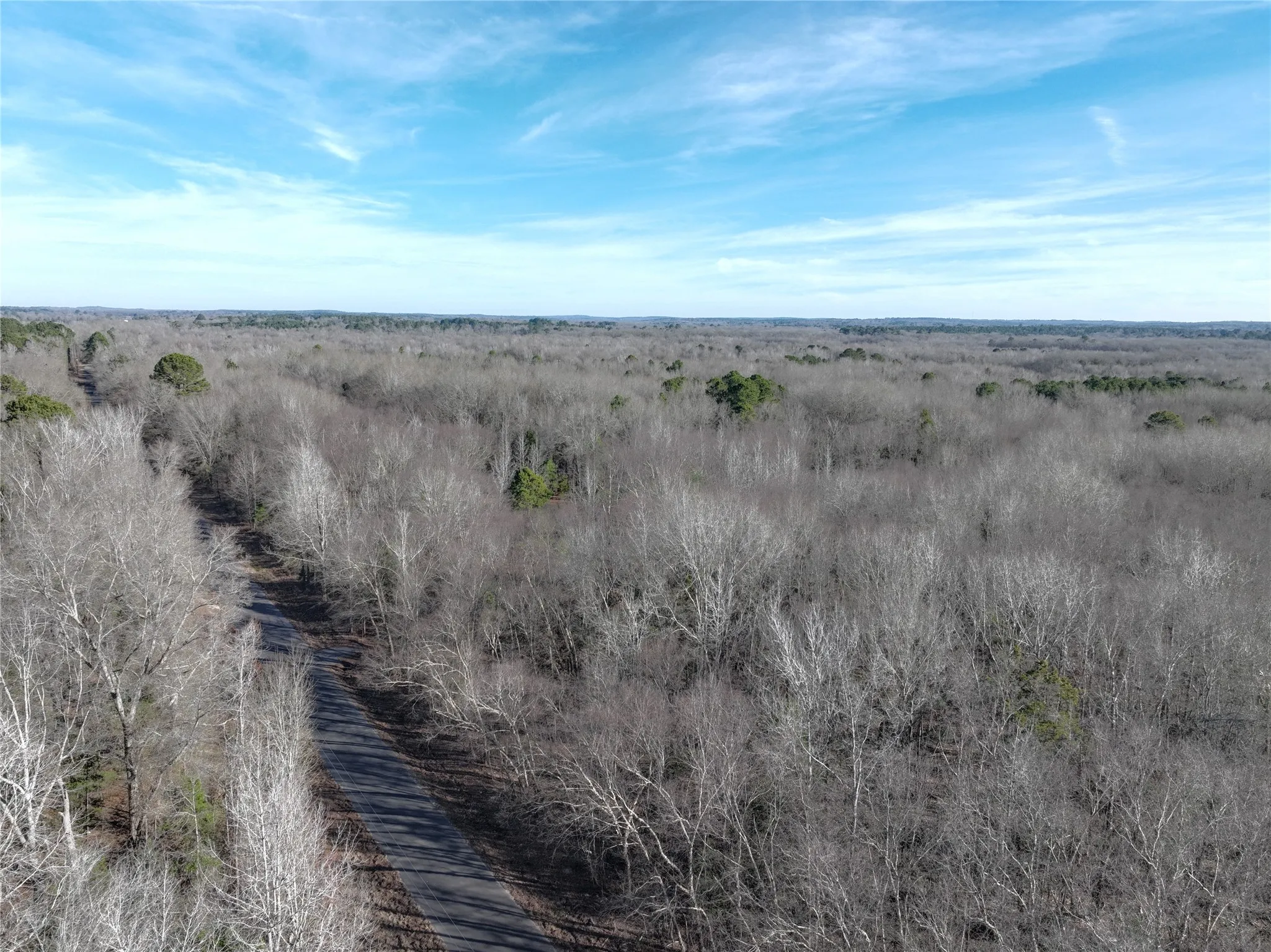 Unimproved Land For Sale in Wood County , TBD County Road 3170, Quitman, Texas 75783, 0, 0, Garage spaces, 0 Sqft, built in 0, Price $725,000, mls#21149889, Real Estate Agent in Quitman, Homes For Sale in Wood county, Homes For Sale in Quitman, Realtor in Quitman Texas, Real Estate Brokerage Independent Realty Texas, Luminita Cordes Realtor