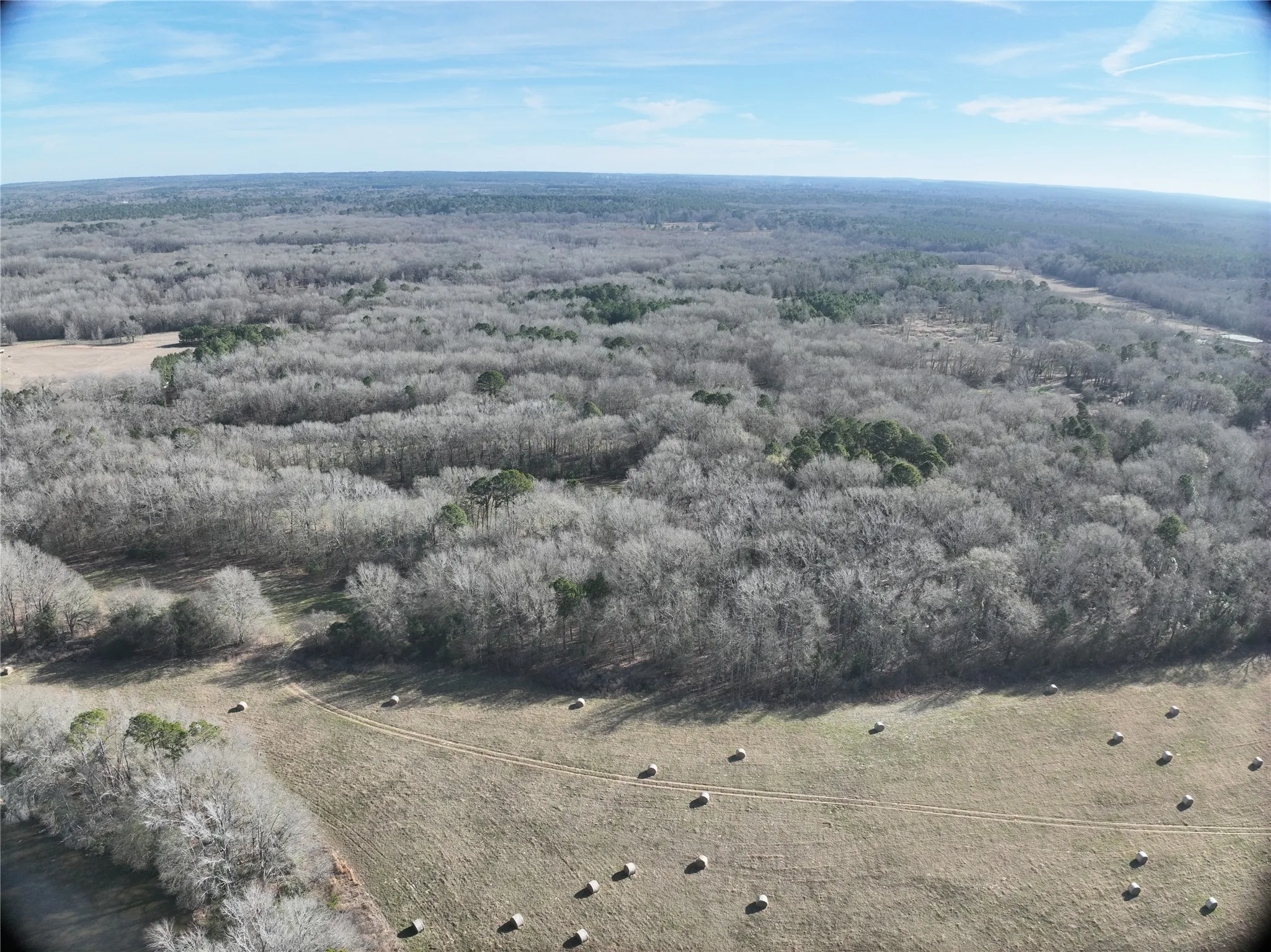 Unimproved Land For Sale in Wood County , TBD County Road 3170, Quitman, Texas 75783, 0, 0, Garage spaces, 0 Sqft, built in 0, Price $725,000, mls#21149889, Real Estate Agent in Quitman, Homes For Sale in Wood county, Homes For Sale in Quitman, Realtor in Quitman Texas, Real Estate Brokerage Independent Realty Texas, Luminita Cordes Realtor