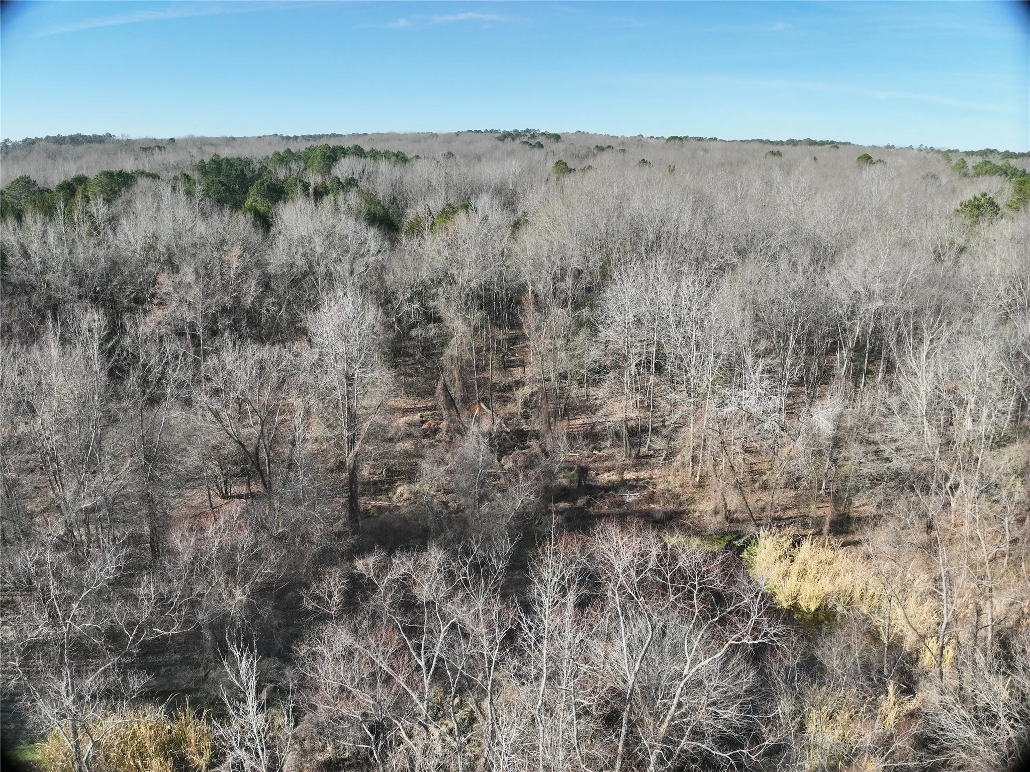 Unimproved Land For Sale in Wood County , TBD County Road 3170, Quitman, Texas 75783, 0, 0, Garage spaces, 0 Sqft, built in 0, Price $725,000, mls#21149889, Real Estate Agent in Quitman, Homes For Sale in Wood county, Homes For Sale in Quitman, Realtor in Quitman Texas, Real Estate Brokerage Independent Realty Texas, Luminita Cordes Realtor