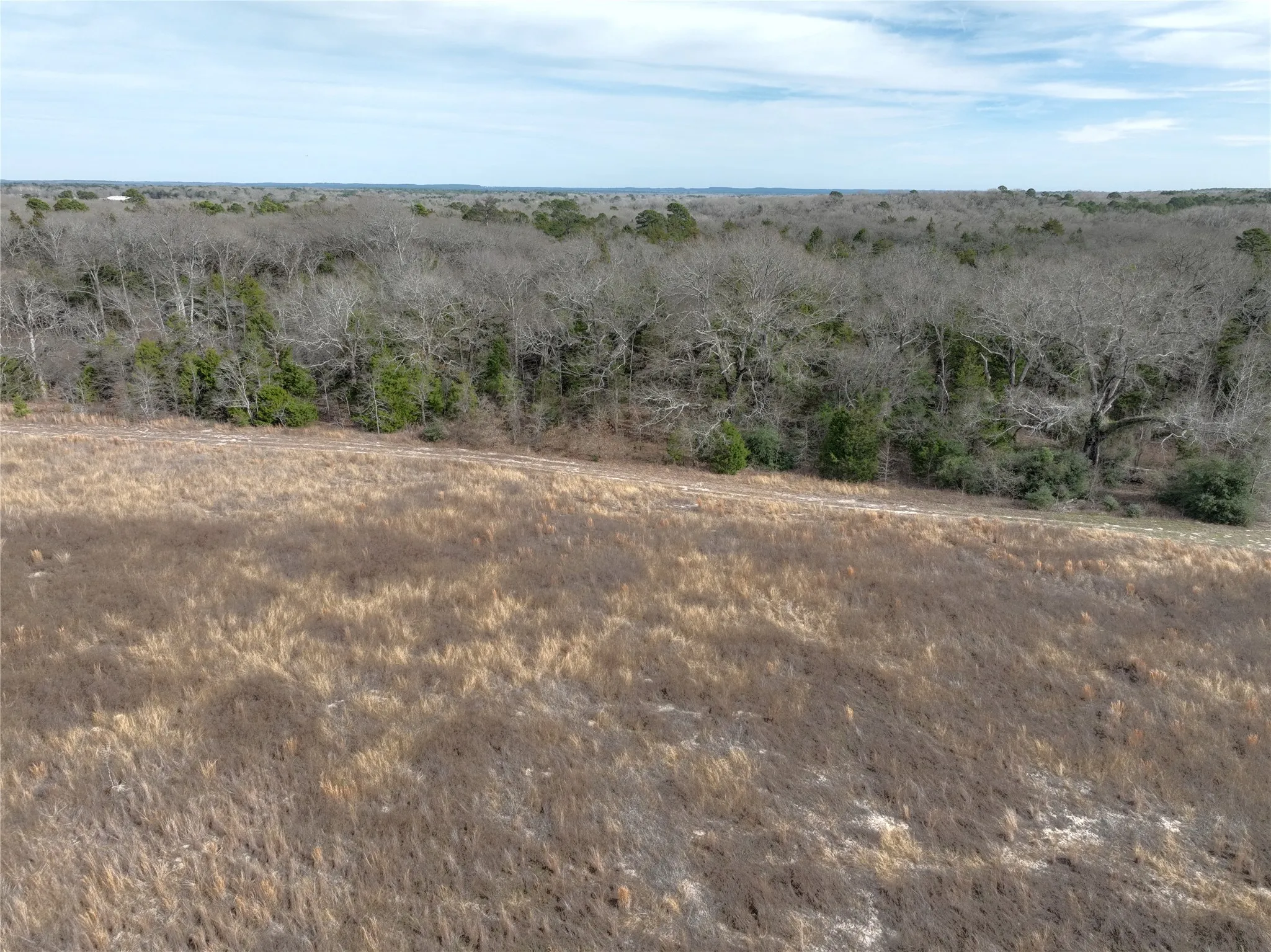 Unimproved Land For Sale in Wood County , TBD County Road 3250, Quitman, Texas 75783, 0, 0, Garage spaces, 0 Sqft, built in 0, mls#21149795, Real Estate Agent in Quitman, Homes For Sale in Wood county, Homes For Sale in Quitman, Realtor in Quitman Texas, Real Estate Brokerage Independent Realty Texas, Luminita Cordes Realtor