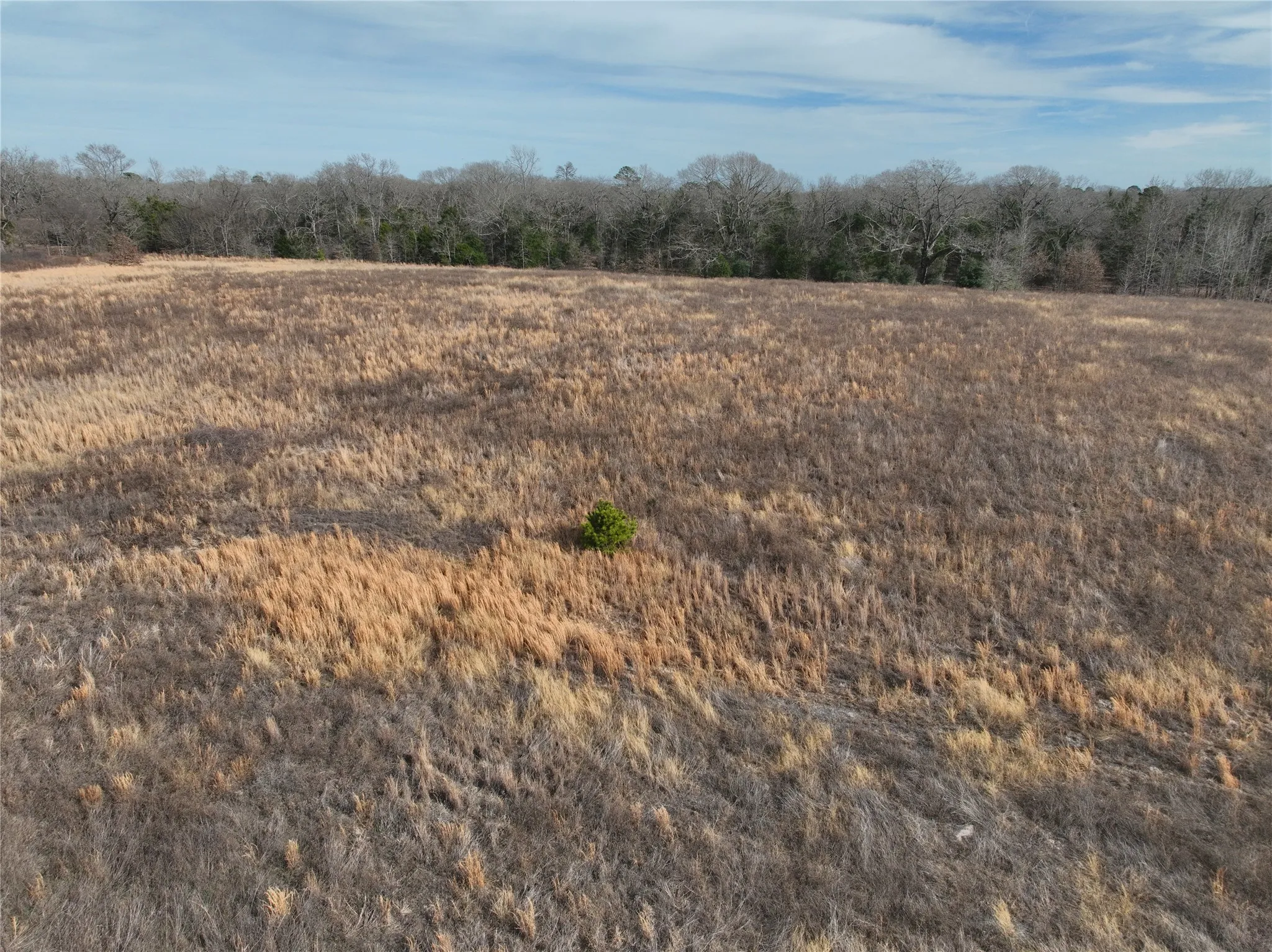 Unimproved Land For Sale in Wood County , TBD County Road 3250, Quitman, Texas 75783, 0, 0, Garage spaces, 0 Sqft, built in 0, mls#21149795, Real Estate Agent in Quitman, Homes For Sale in Wood county, Homes For Sale in Quitman, Realtor in Quitman Texas, Real Estate Brokerage Independent Realty Texas, Luminita Cordes Realtor