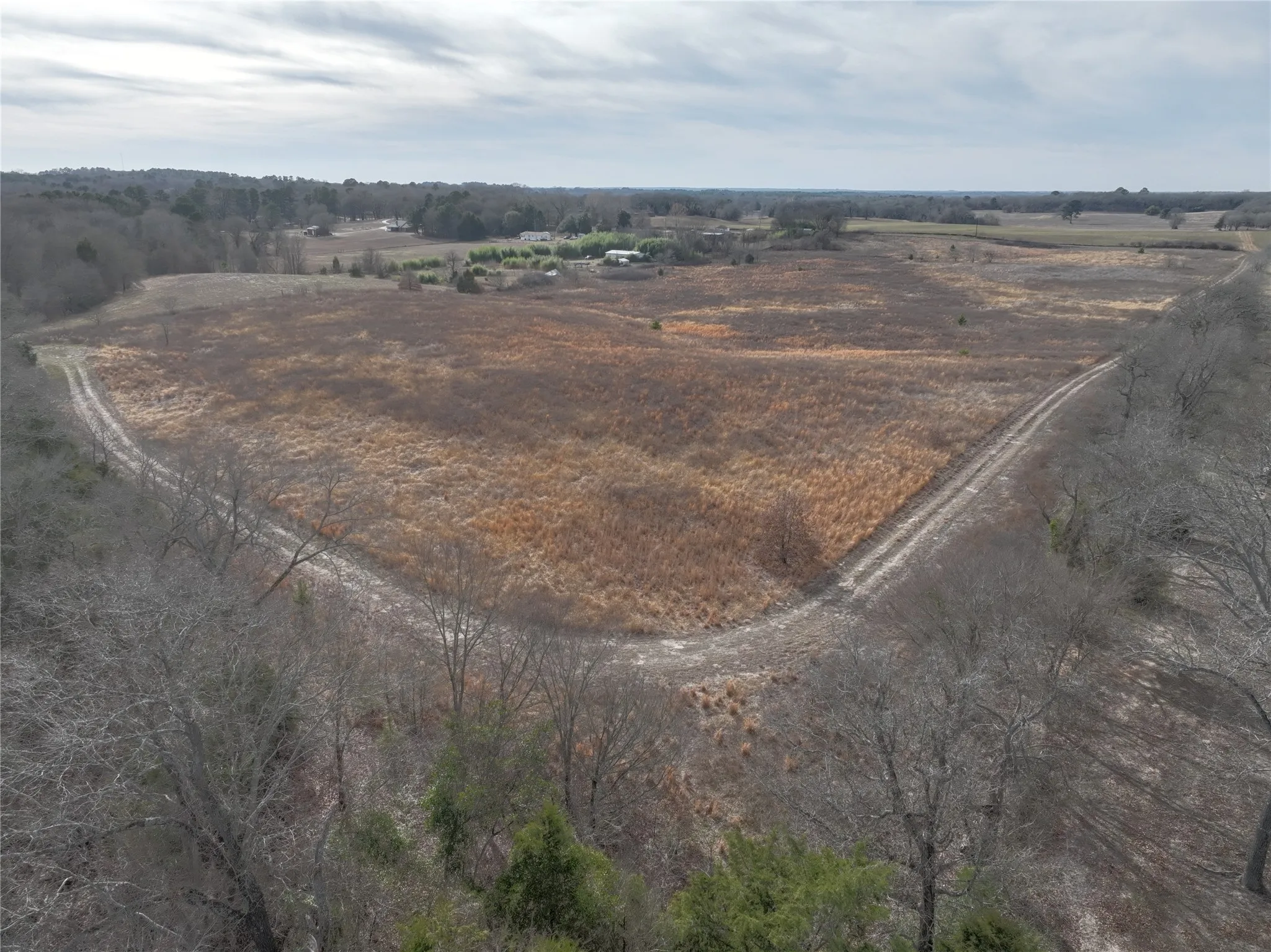 Unimproved Land For Sale in Wood County , TBD County Road 3250, Quitman, Texas 75783, 0, 0, Garage spaces, 0 Sqft, built in 0, mls#21149795, Real Estate Agent in Quitman, Homes For Sale in Wood county, Homes For Sale in Quitman, Realtor in Quitman Texas, Real Estate Brokerage Independent Realty Texas, Luminita Cordes Realtor