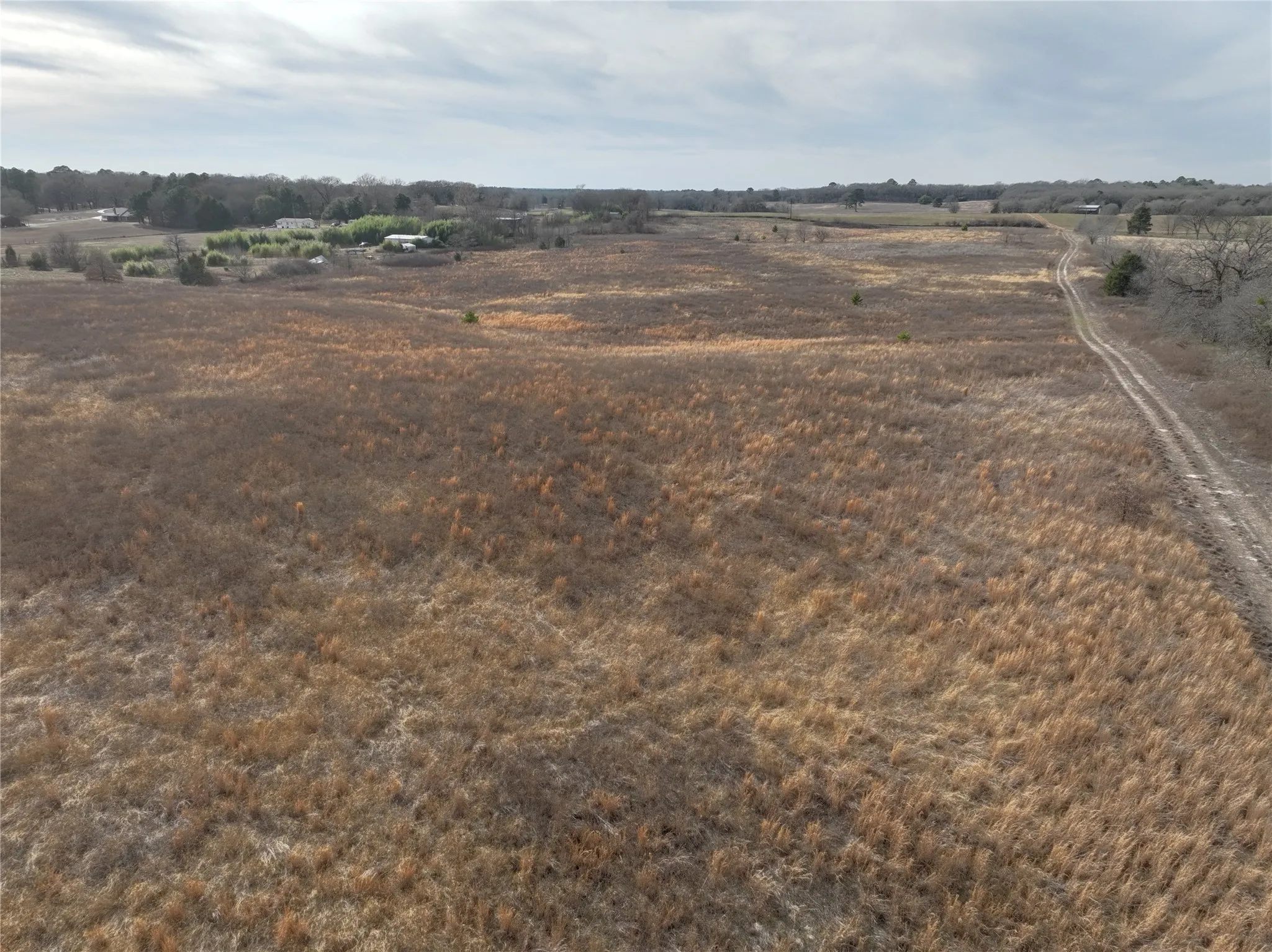 Unimproved Land For Sale in Wood County , TBD County Road 3250, Quitman, Texas 75783, 0, 0, Garage spaces, 0 Sqft, built in 0, mls#21149795, Real Estate Agent in Quitman, Homes For Sale in Wood county, Homes For Sale in Quitman, Realtor in Quitman Texas, Real Estate Brokerage Independent Realty Texas, Luminita Cordes Realtor