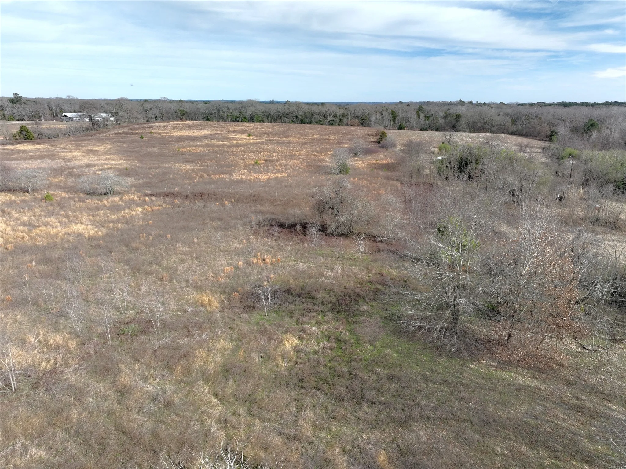 Unimproved Land For Sale in Wood County , TBD County Road 3250, Quitman, Texas 75783, 0, 0, Garage spaces, 0 Sqft, built in 0, mls#21149795, Real Estate Agent in Quitman, Homes For Sale in Wood county, Homes For Sale in Quitman, Realtor in Quitman Texas, Real Estate Brokerage Independent Realty Texas, Luminita Cordes Realtor