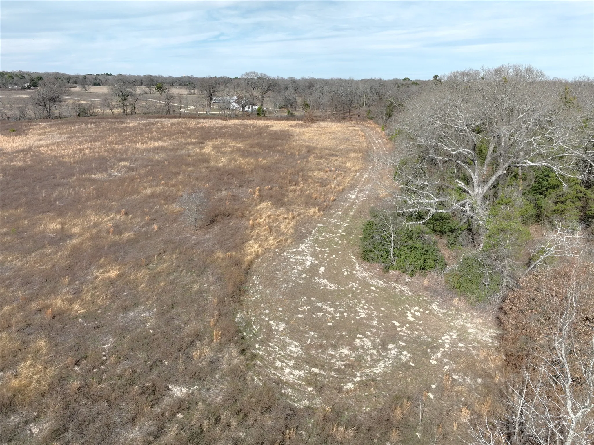 Unimproved Land For Sale in Wood County , TBD County Road 3250, Quitman, Texas 75783, 0, 0, Garage spaces, 0 Sqft, built in 0, mls#21149795, Real Estate Agent in Quitman, Homes For Sale in Wood county, Homes For Sale in Quitman, Realtor in Quitman Texas, Real Estate Brokerage Independent Realty Texas, Luminita Cordes Realtor