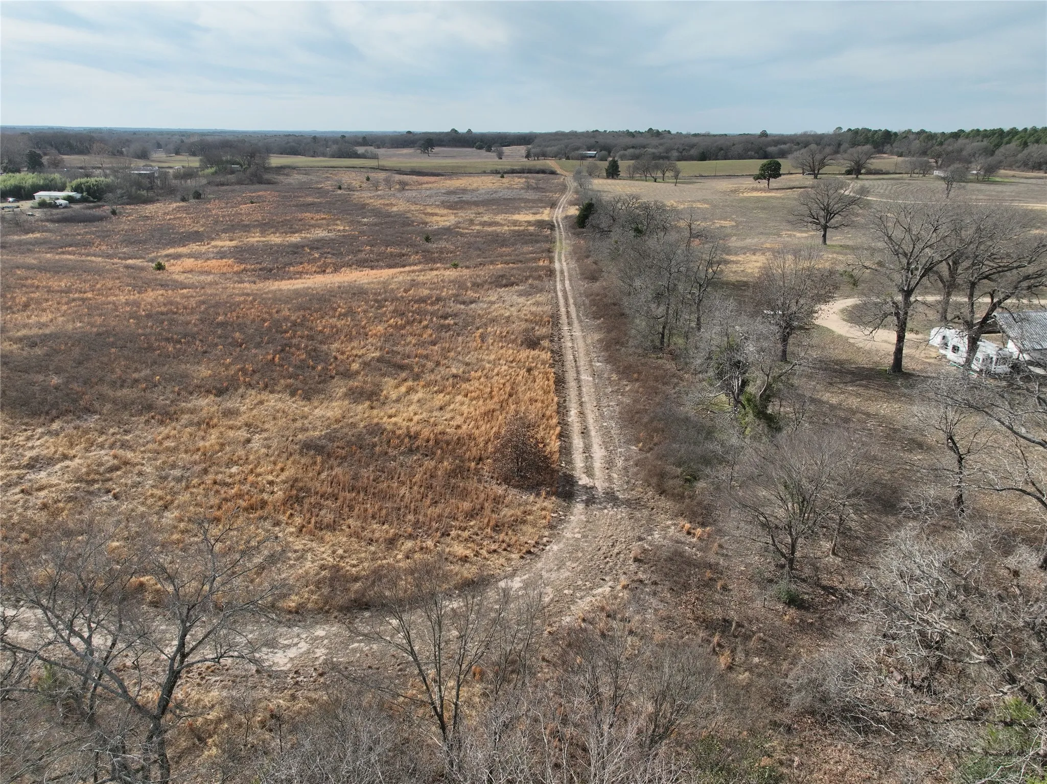 Unimproved Land For Sale in Wood County , TBD County Road 3250, Quitman, Texas 75783, 0, 0, Garage spaces, 0 Sqft, built in 0, mls#21149795, Real Estate Agent in Quitman, Homes For Sale in Wood county, Homes For Sale in Quitman, Realtor in Quitman Texas, Real Estate Brokerage Independent Realty Texas, Luminita Cordes Realtor