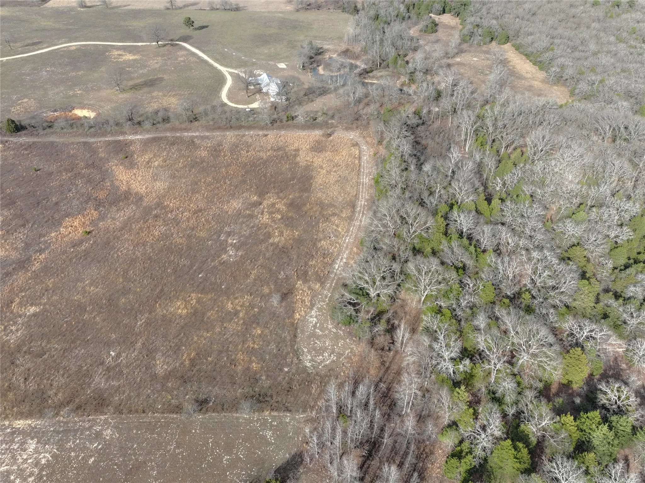 Unimproved Land For Sale in Wood County , TBD County Road 3250, Quitman, Texas 75783, 0, 0, Garage spaces, 0 Sqft, built in 0, mls#21149795, Real Estate Agent in Quitman, Homes For Sale in Wood county, Homes For Sale in Quitman, Realtor in Quitman Texas, Real Estate Brokerage Independent Realty Texas, Luminita Cordes Realtor