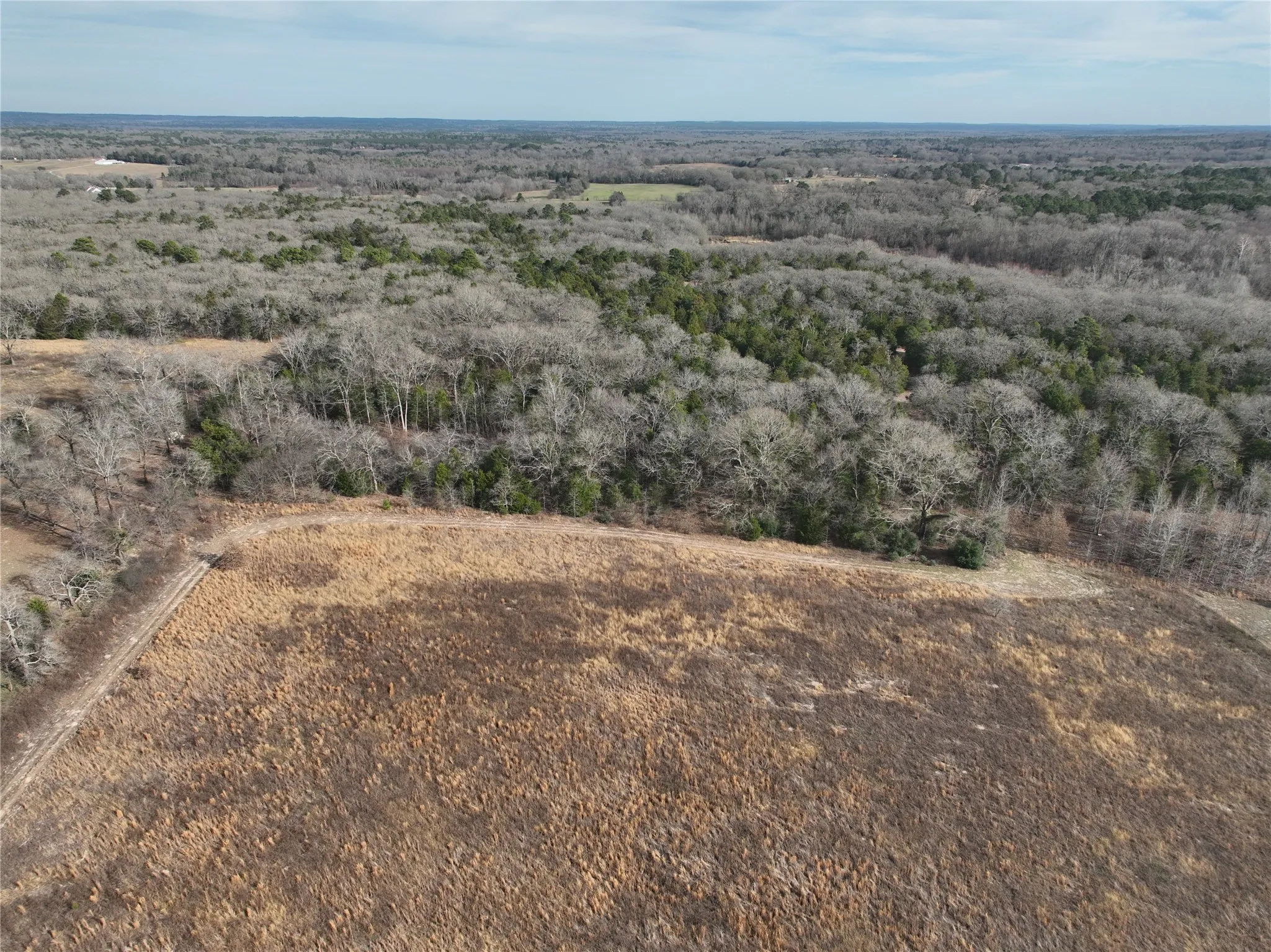 Unimproved Land For Sale in Wood County , TBD County Road 3250, Quitman, Texas 75783, 0, 0, Garage spaces, 0 Sqft, built in 0, mls#21149795, Real Estate Agent in Quitman, Homes For Sale in Wood county, Homes For Sale in Quitman, Realtor in Quitman Texas, Real Estate Brokerage Independent Realty Texas, Luminita Cordes Realtor