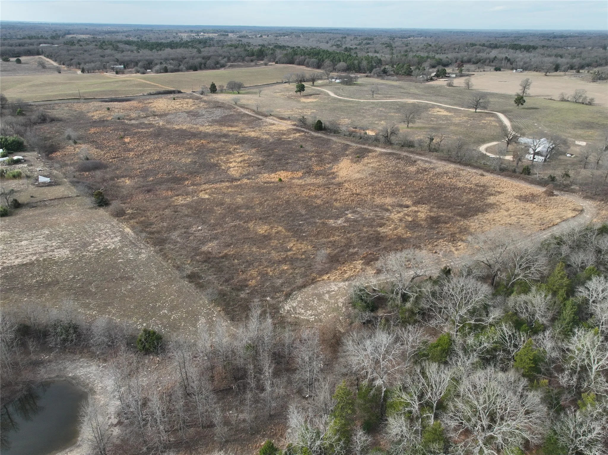 Unimproved Land For Sale in Wood County , TBD County Road 3250, Quitman, Texas 75783, 0, 0, Garage spaces, 0 Sqft, built in 0, mls#21149795, Real Estate Agent in Quitman, Homes For Sale in Wood county, Homes For Sale in Quitman, Realtor in Quitman Texas, Real Estate Brokerage Independent Realty Texas, Luminita Cordes Realtor