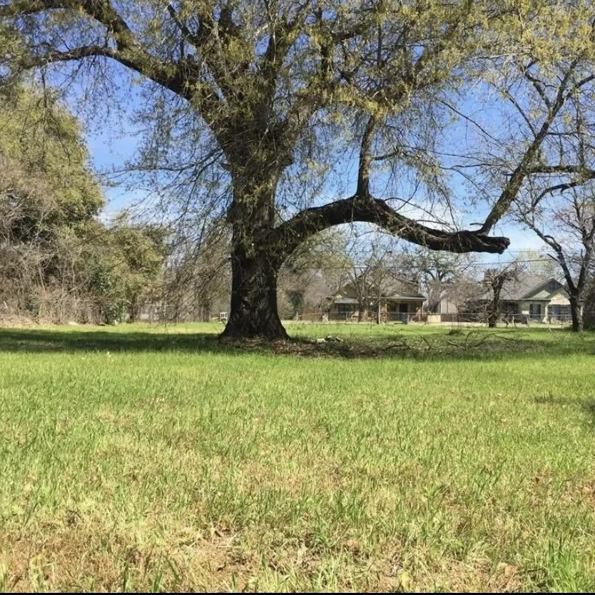 Improved Land For Sale in Mc Lennan County , 3317 S 3rd Street, Waco, Texas 76706, 0, 0, Garage spaces, 0 Sqft, built in 0, mls#21154117, Real Estate Agent in Waco, Homes For Sale in Mc Lennan county, Homes For Sale in Waco, Realtor in Waco Texas, Real Estate Brokerage Independent Realty Texas, Luminita Cordes Realtor