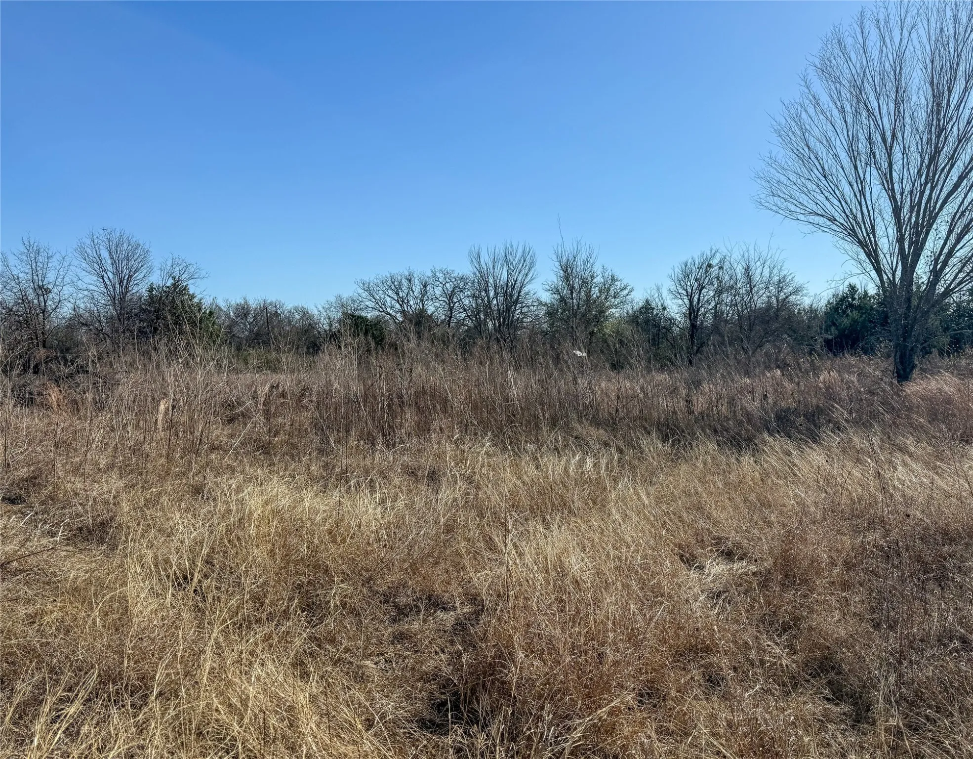Unimproved Land For Sale in Johnson County , 110 Weeks Road, Cleburne, Texas 76031, 0, 0, Garage spaces, 0 Sqft, built in 0, Price $195,000, mls#21153275, Real Estate Agent in Cleburne, Homes For Sale in Johnson county, Homes For Sale in Cleburne, Realtor in Cleburne Texas, Real Estate Brokerage Independent Realty Texas, Luminita Cordes Realtor