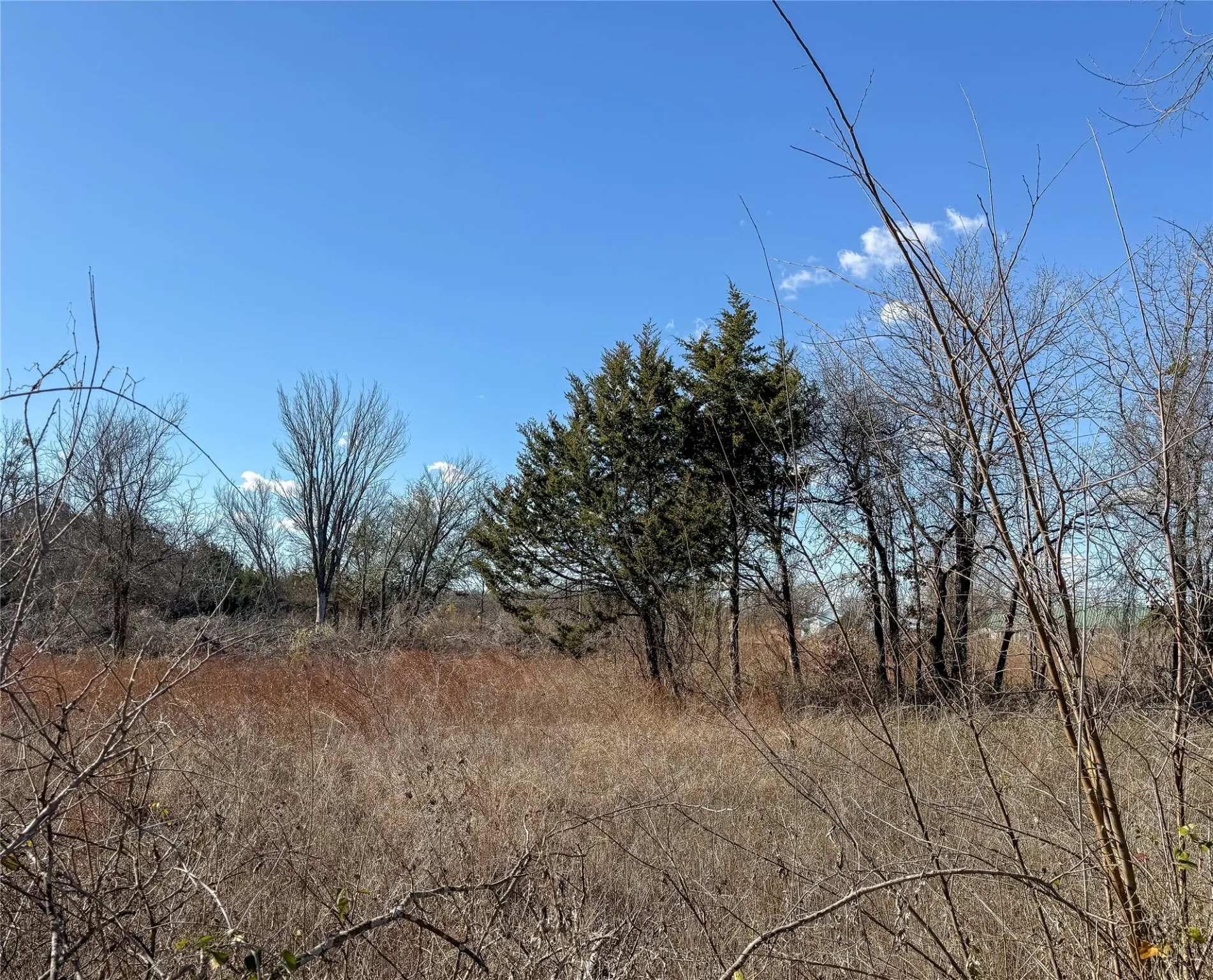 Unimproved Land For Sale in Johnson County , 110 Weeks Road, Cleburne, Texas 76031, 0, 0, Garage spaces, 0 Sqft, built in 0, Price $195,000, mls#21153275, Real Estate Agent in Cleburne, Homes For Sale in Johnson county, Homes For Sale in Cleburne, Realtor in Cleburne Texas, Real Estate Brokerage Independent Realty Texas, Luminita Cordes Realtor