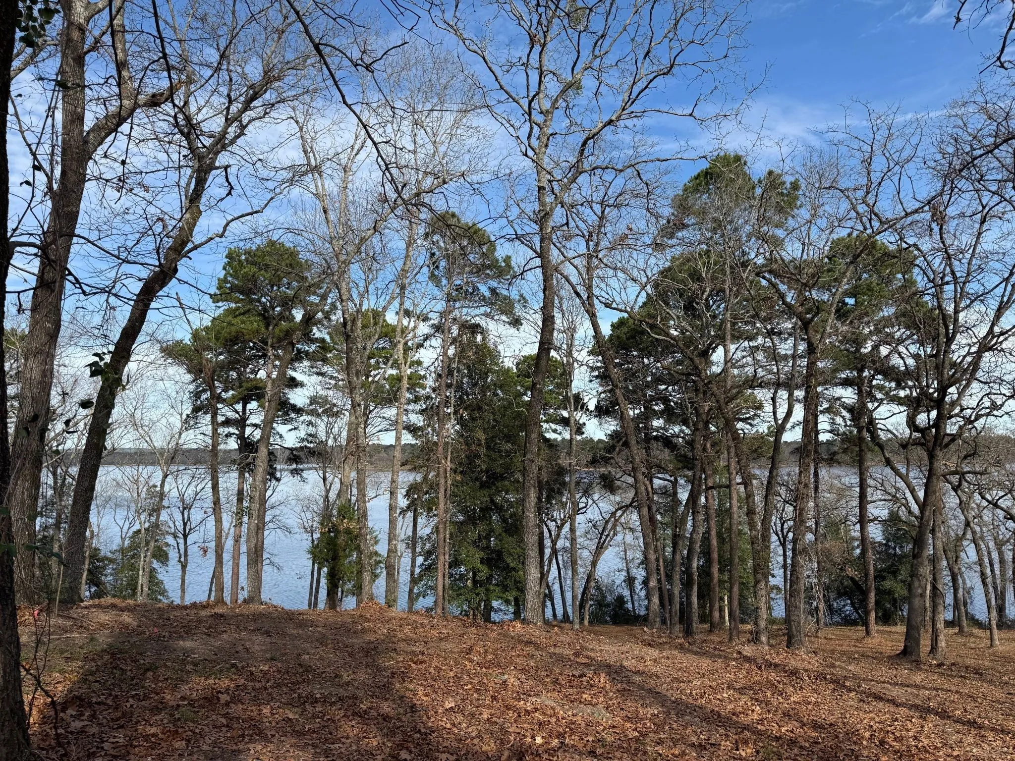 Unimproved Land For Sale in Henderson County , 3268 Shadow Pine Drive, Larue, Texas 75770, 0, 0, Garage spaces, 0 Sqft, built in 0, Price $225,000, mls#21154239, Real Estate Agent in Larue, Homes For Sale in Henderson county, Homes For Sale in Larue, Realtor in Larue Texas, Real Estate Brokerage Independent Realty Texas, Luminita Cordes Realtor