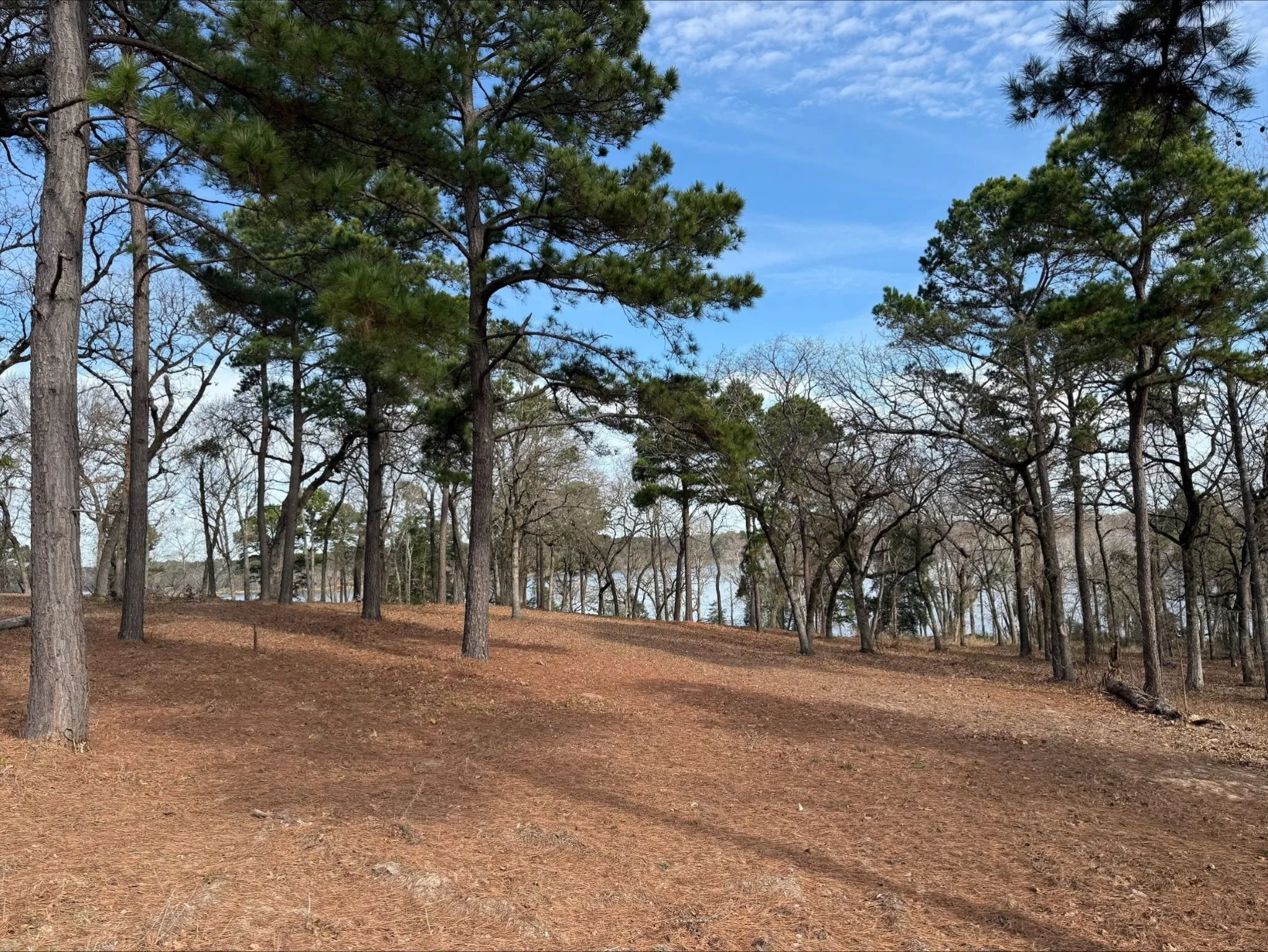 Unimproved Land For Sale in Henderson County , 3268 Shadow Pine Drive, Larue, Texas 75770, 0, 0, Garage spaces, 0 Sqft, built in 0, Price $225,000, mls#21154239, Real Estate Agent in Larue, Homes For Sale in Henderson county, Homes For Sale in Larue, Realtor in Larue Texas, Real Estate Brokerage Independent Realty Texas, Luminita Cordes Realtor