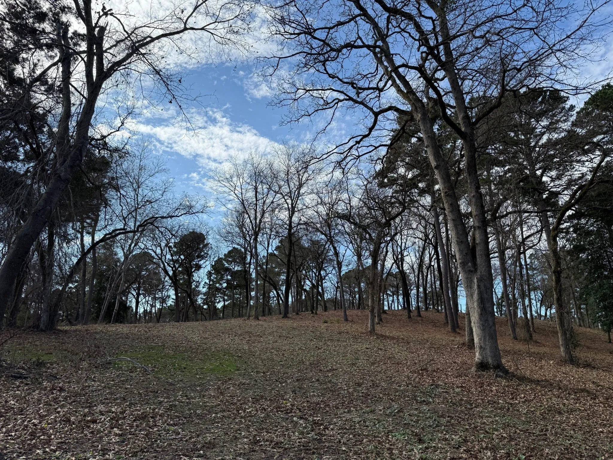 Unimproved Land For Sale in Henderson County , 3268 Shadow Pine Drive, Larue, Texas 75770, 0, 0, Garage spaces, 0 Sqft, built in 0, Price $225,000, mls#21154239, Real Estate Agent in Larue, Homes For Sale in Henderson county, Homes For Sale in Larue, Realtor in Larue Texas, Real Estate Brokerage Independent Realty Texas, Luminita Cordes Realtor
