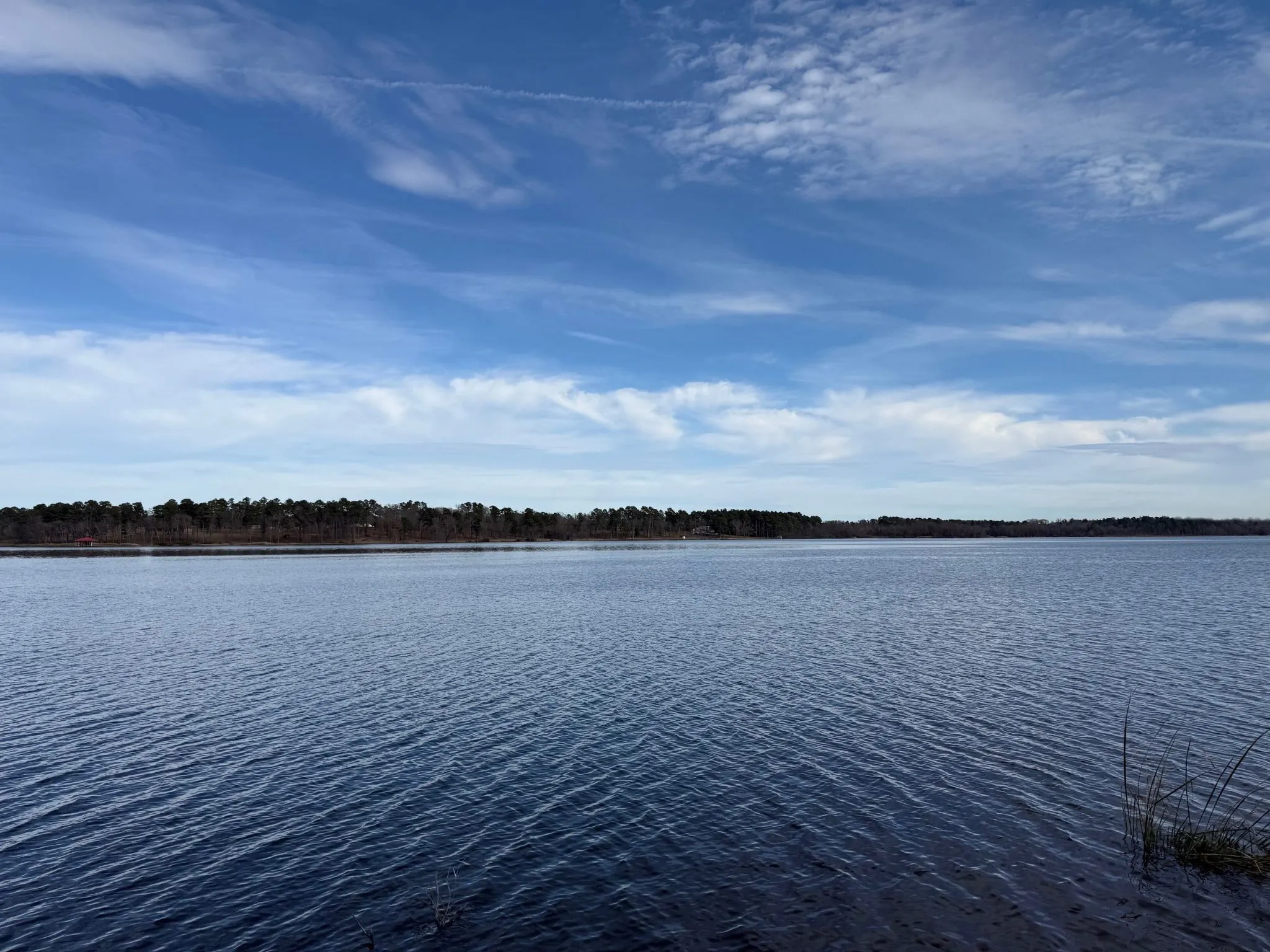Unimproved Land For Sale in Henderson County , 3268 Shadow Pine Drive, Larue, Texas 75770, 0, 0, Garage spaces, 0 Sqft, built in 0, Price $225,000, mls#21154239, Real Estate Agent in Larue, Homes For Sale in Henderson county, Homes For Sale in Larue, Realtor in Larue Texas, Real Estate Brokerage Independent Realty Texas, Luminita Cordes Realtor