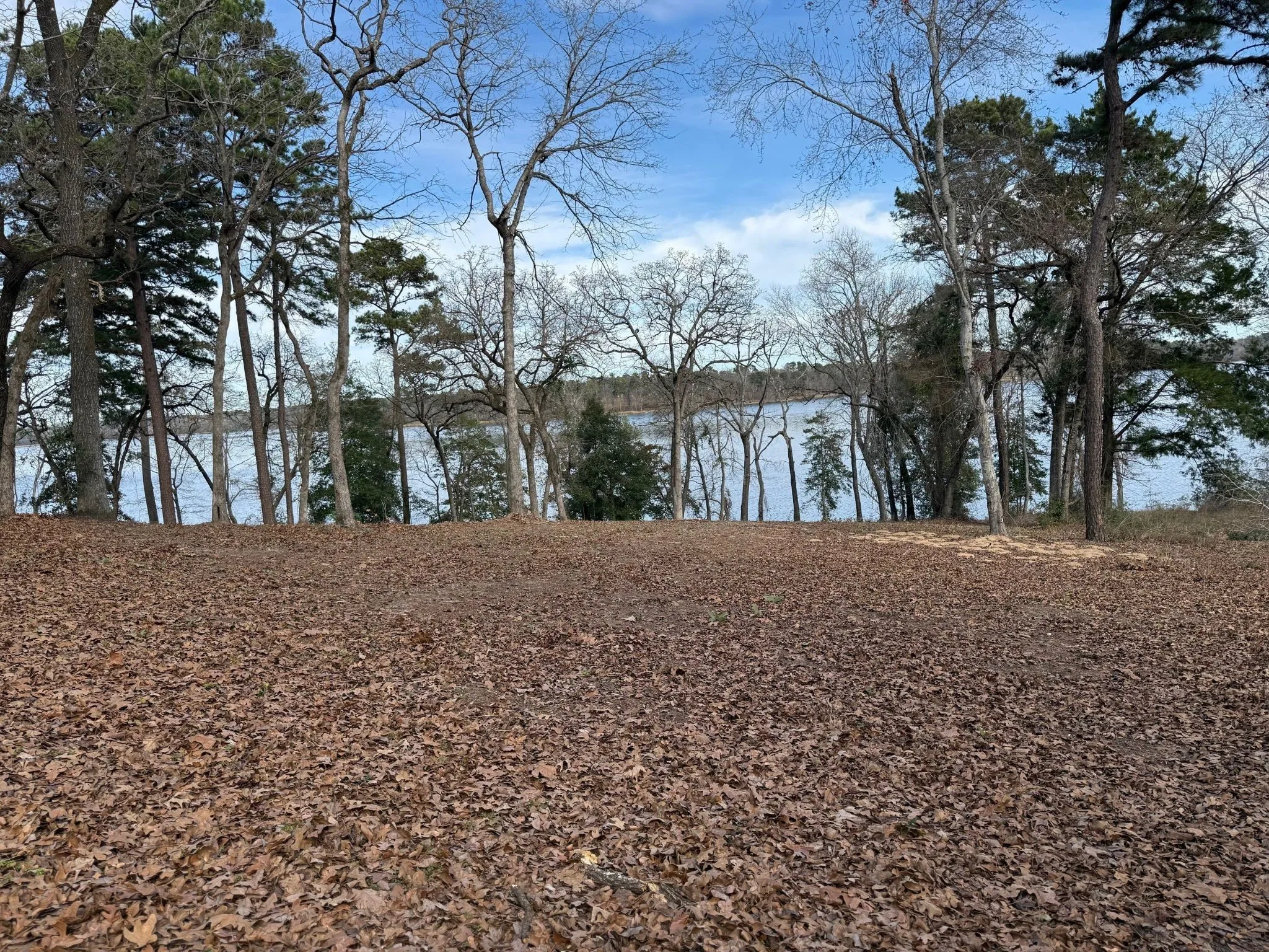 Unimproved Land For Sale in Henderson County , 3268 Shadow Pine Drive, Larue, Texas 75770, 0, 0, Garage spaces, 0 Sqft, built in 0, Price $225,000, mls#21154239, Real Estate Agent in Larue, Homes For Sale in Henderson county, Homes For Sale in Larue, Realtor in Larue Texas, Real Estate Brokerage Independent Realty Texas, Luminita Cordes Realtor