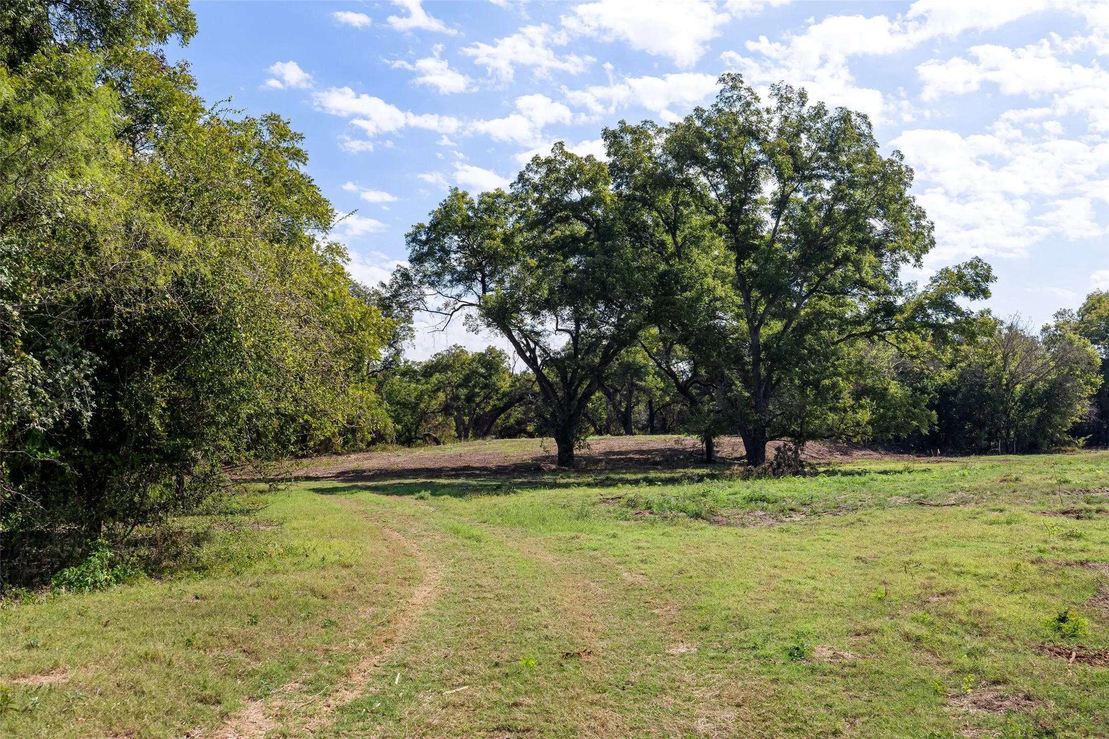 View of green lawn