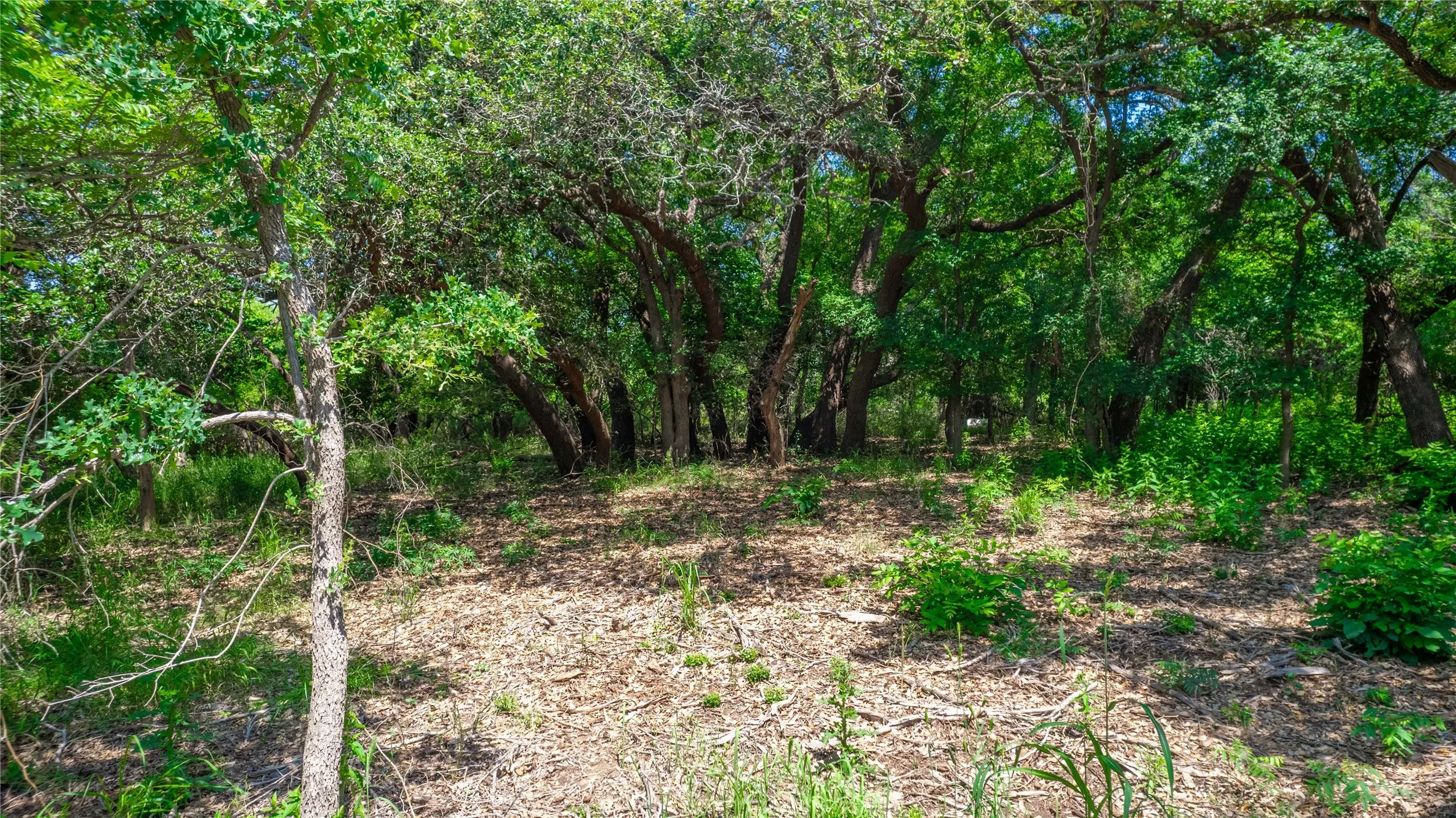 Unimproved Land For Sale in Brown County , TBD Hog Creek Road, Brownwood, Texas 76801, 0, 0, Garage spaces, 0 Sqft, built in 0, mls#21154529, Real Estate Agent in Brownwood, Homes For Sale in Brown county, Homes For Sale in Brownwood, Realtor in Brownwood Texas, Real Estate Brokerage Independent Realty Texas, Luminita Cordes Realtor