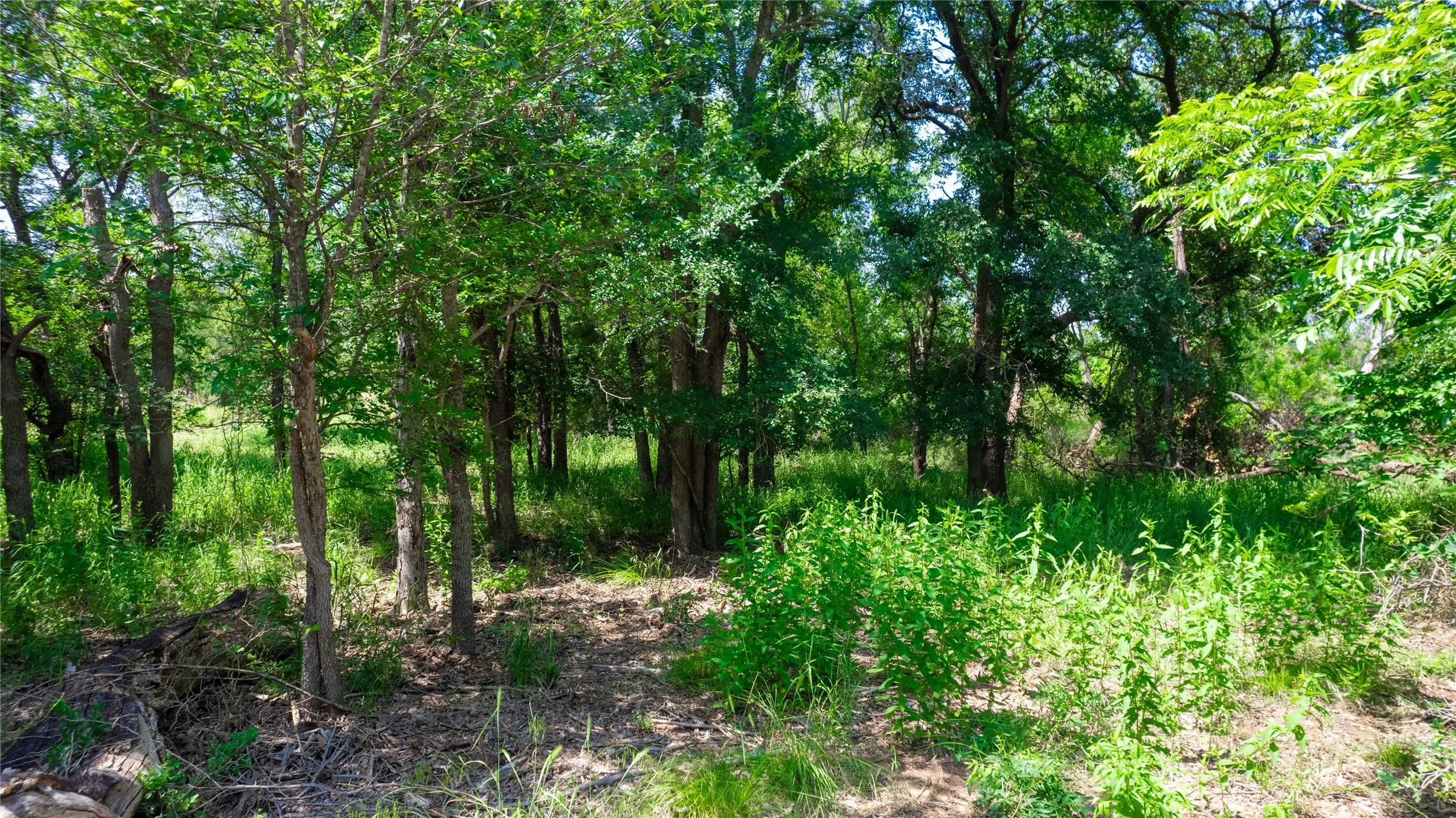 Unimproved Land For Sale in Brown County , TBD Hog Creek Road, Brownwood, Texas 76801, 0, 0, Garage spaces, 0 Sqft, built in 0, mls#21154529, Real Estate Agent in Brownwood, Homes For Sale in Brown county, Homes For Sale in Brownwood, Realtor in Brownwood Texas, Real Estate Brokerage Independent Realty Texas, Luminita Cordes Realtor