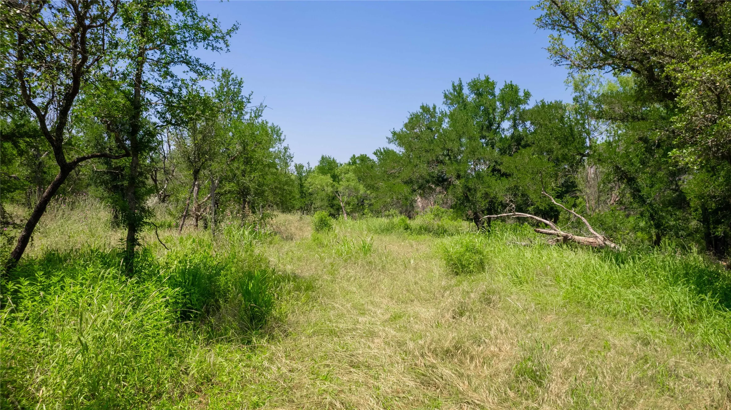 Unimproved Land For Sale in Brown County , TBD Hog Creek Road, Brownwood, Texas 76801, 0, 0, Garage spaces, 0 Sqft, built in 0, mls#21154529, Real Estate Agent in Brownwood, Homes For Sale in Brown county, Homes For Sale in Brownwood, Realtor in Brownwood Texas, Real Estate Brokerage Independent Realty Texas, Luminita Cordes Realtor