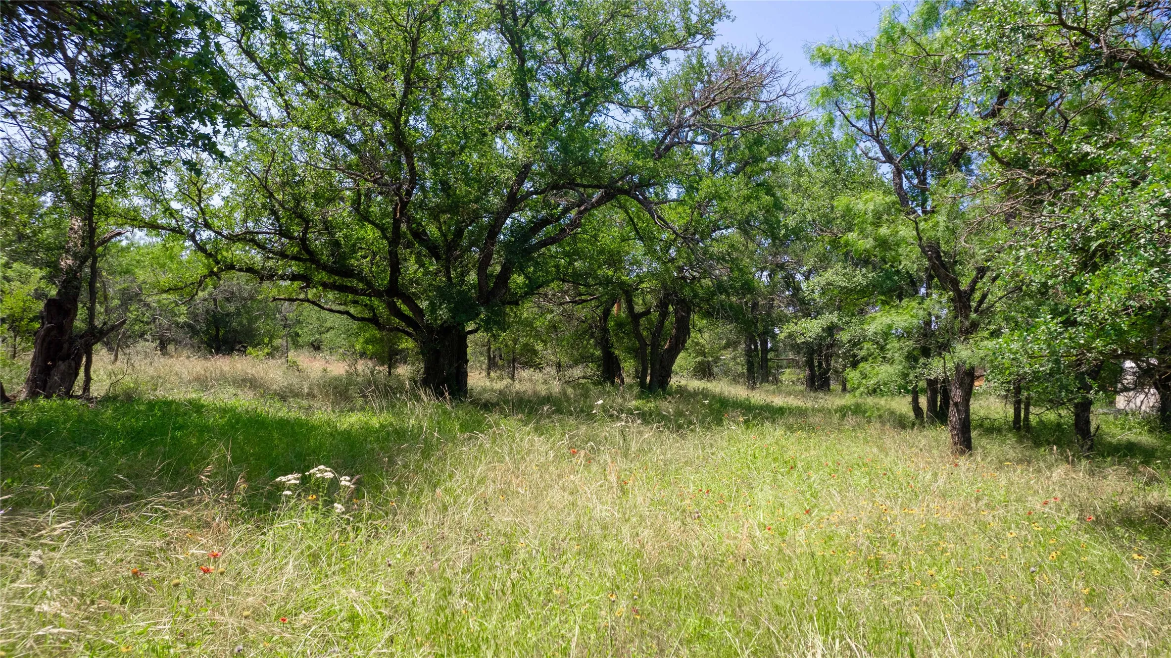 Unimproved Land For Sale in Brown County , TBD Hog Creek Road, Brownwood, Texas 76801, 0, 0, Garage spaces, 0 Sqft, built in 0, mls#21154529, Real Estate Agent in Brownwood, Homes For Sale in Brown county, Homes For Sale in Brownwood, Realtor in Brownwood Texas, Real Estate Brokerage Independent Realty Texas, Luminita Cordes Realtor