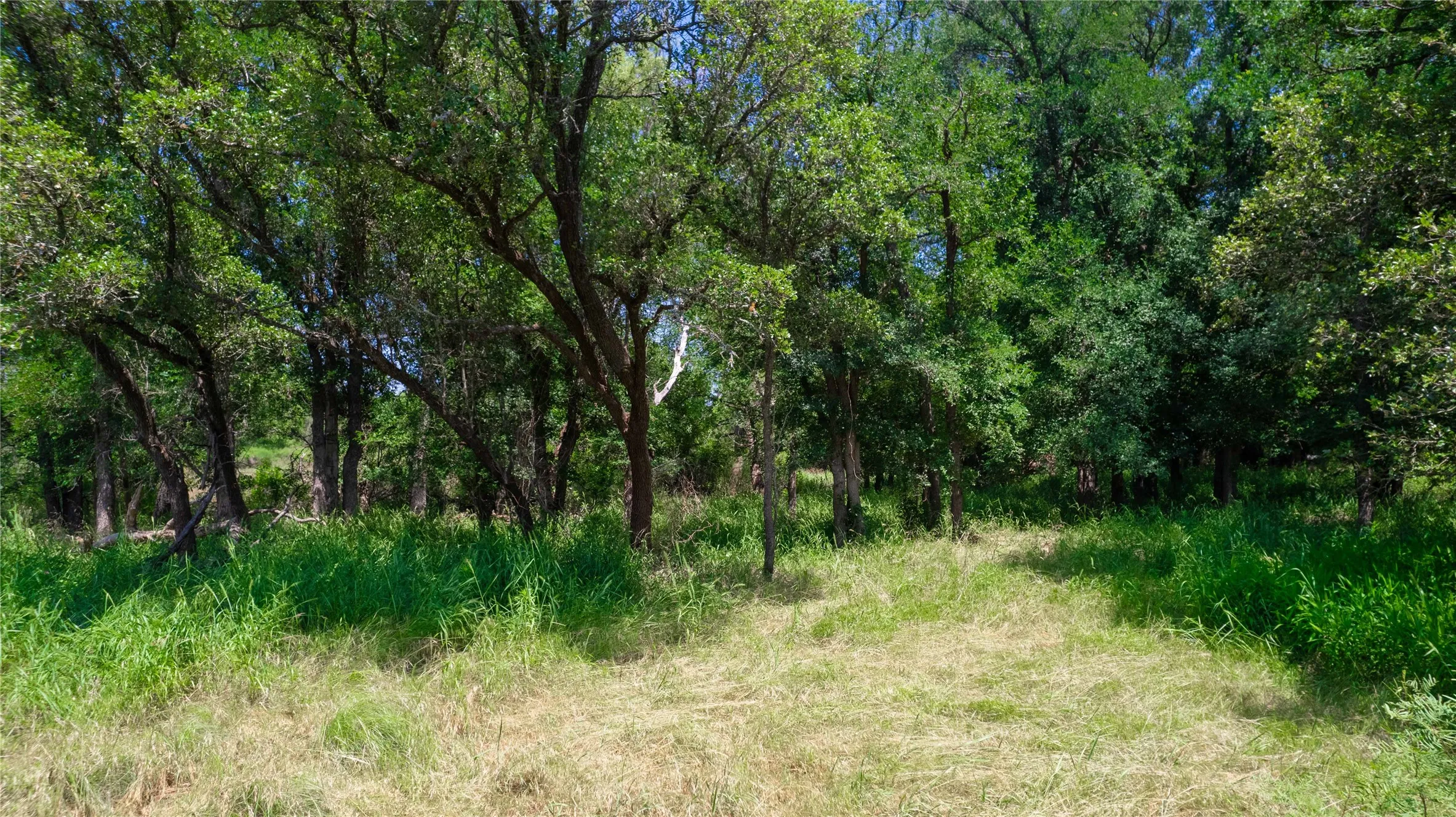 Unimproved Land For Sale in Brown County , TBD Hog Creek Road, Brownwood, Texas 76801, 0, 0, Garage spaces, 0 Sqft, built in 0, mls#21154529, Real Estate Agent in Brownwood, Homes For Sale in Brown county, Homes For Sale in Brownwood, Realtor in Brownwood Texas, Real Estate Brokerage Independent Realty Texas, Luminita Cordes Realtor