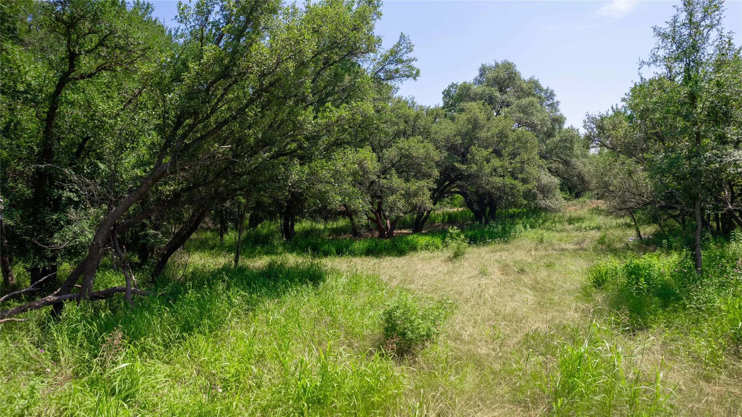 Unimproved Land For Sale in Brown County , TBD Hog Creek Road, Brownwood, Texas 76801, 0, 0, Garage spaces, 0 Sqft, built in 0, mls#21154529, Real Estate Agent in Brownwood, Homes For Sale in Brown county, Homes For Sale in Brownwood, Realtor in Brownwood Texas, Real Estate Brokerage Independent Realty Texas, Luminita Cordes Realtor