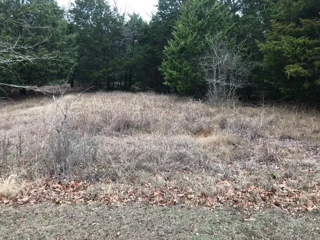 Unimproved Land For Sale in Freestone County , 128 Lincoln Drive, Streetman, Texas 75859, 0, 0, Garage spaces, 0 Sqft, built in 0, Price $30,000, mls#21146039, Real Estate Agent in Streetman, Homes For Sale in Freestone county, Homes For Sale in Streetman, Realtor in Streetman Texas, Real Estate Brokerage Independent Realty Texas, Luminita Cordes Realtor