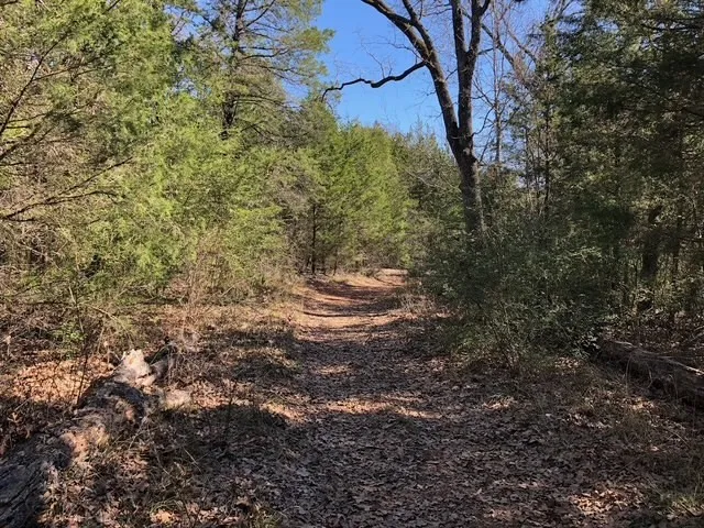 Unimproved Land For Sale in Freestone County , 128 Lincoln Drive, Streetman, Texas 75859, 0, 0, Garage spaces, 0 Sqft, built in 0, Price $30,000, mls#21146039, Real Estate Agent in Streetman, Homes For Sale in Freestone county, Homes For Sale in Streetman, Realtor in Streetman Texas, Real Estate Brokerage Independent Realty Texas, Luminita Cordes Realtor
