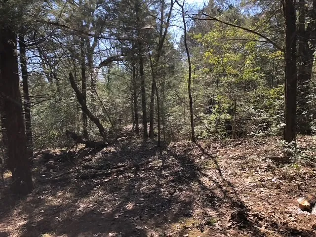 Unimproved Land For Sale in Freestone County , 127 Lincoln Drive, Streetman, Texas 75859, 0, 0, Garage spaces, 0 Sqft, built in 0, Price $30,000, mls#21146035, Real Estate Agent in Streetman, Homes For Sale in Freestone county, Homes For Sale in Streetman, Realtor in Streetman Texas, Real Estate Brokerage Independent Realty Texas, Luminita Cordes Realtor
