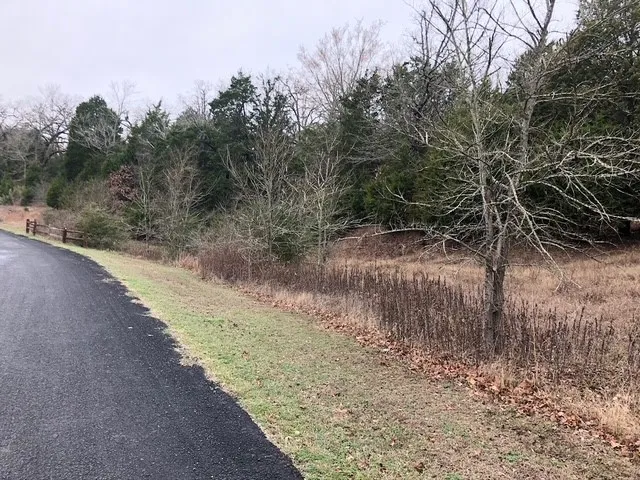 Unimproved Land For Sale in Freestone County , 118 Lincoln Drive, Streetman, Texas 75859, 0, 0, Garage spaces, 0 Sqft, built in 0, Price $30,000, mls#21146031, Real Estate Agent in Streetman, Homes For Sale in Freestone county, Homes For Sale in Streetman, Realtor in Streetman Texas, Real Estate Brokerage Independent Realty Texas, Luminita Cordes Realtor