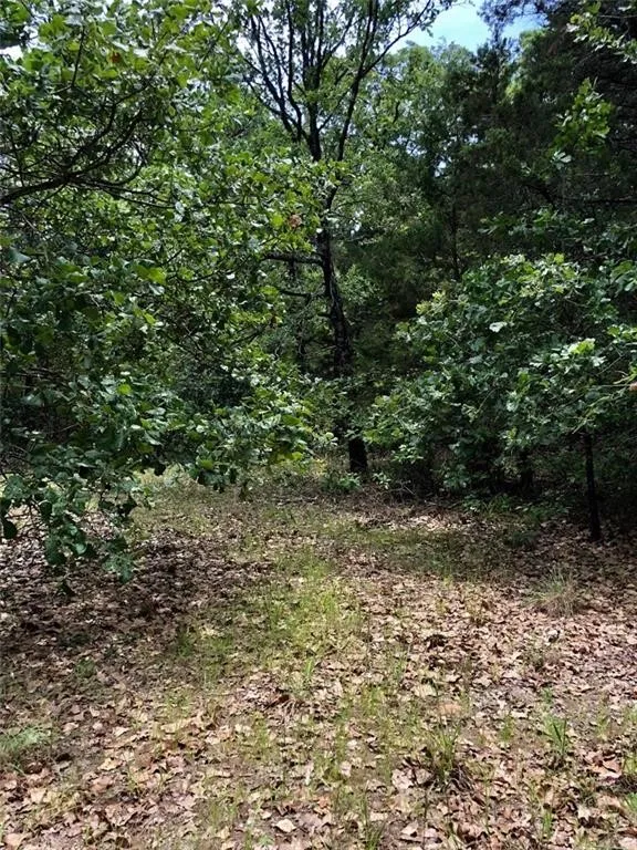 Unimproved Land For Sale in Freestone County , 118 Lincoln Drive, Streetman, Texas 75859, 0, 0, Garage spaces, 0 Sqft, built in 0, Price $30,000, mls#21146031, Real Estate Agent in Streetman, Homes For Sale in Freestone county, Homes For Sale in Streetman, Realtor in Streetman Texas, Real Estate Brokerage Independent Realty Texas, Luminita Cordes Realtor