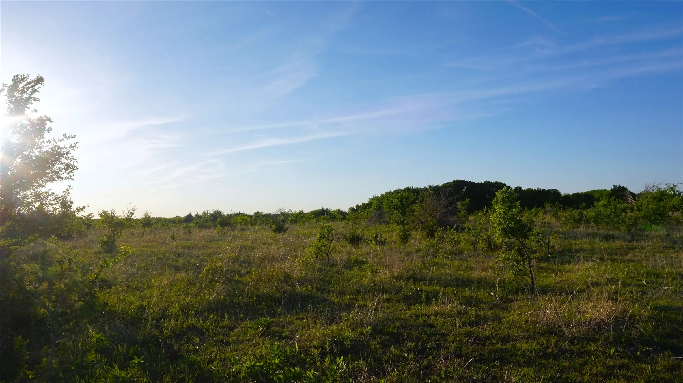 Unimproved Land For Sale in Grayson County , TBD Lot 1 Adams Road, Sherman, Texas 75090, 0, 0, Garage spaces, 0 Sqft, built in 0, mls#21150519, Real Estate Agent in Sherman, Homes For Sale in Grayson county, Homes For Sale in Sherman, Realtor in Sherman Texas, Real Estate Brokerage Independent Realty Texas, Luminita Cordes Realtor