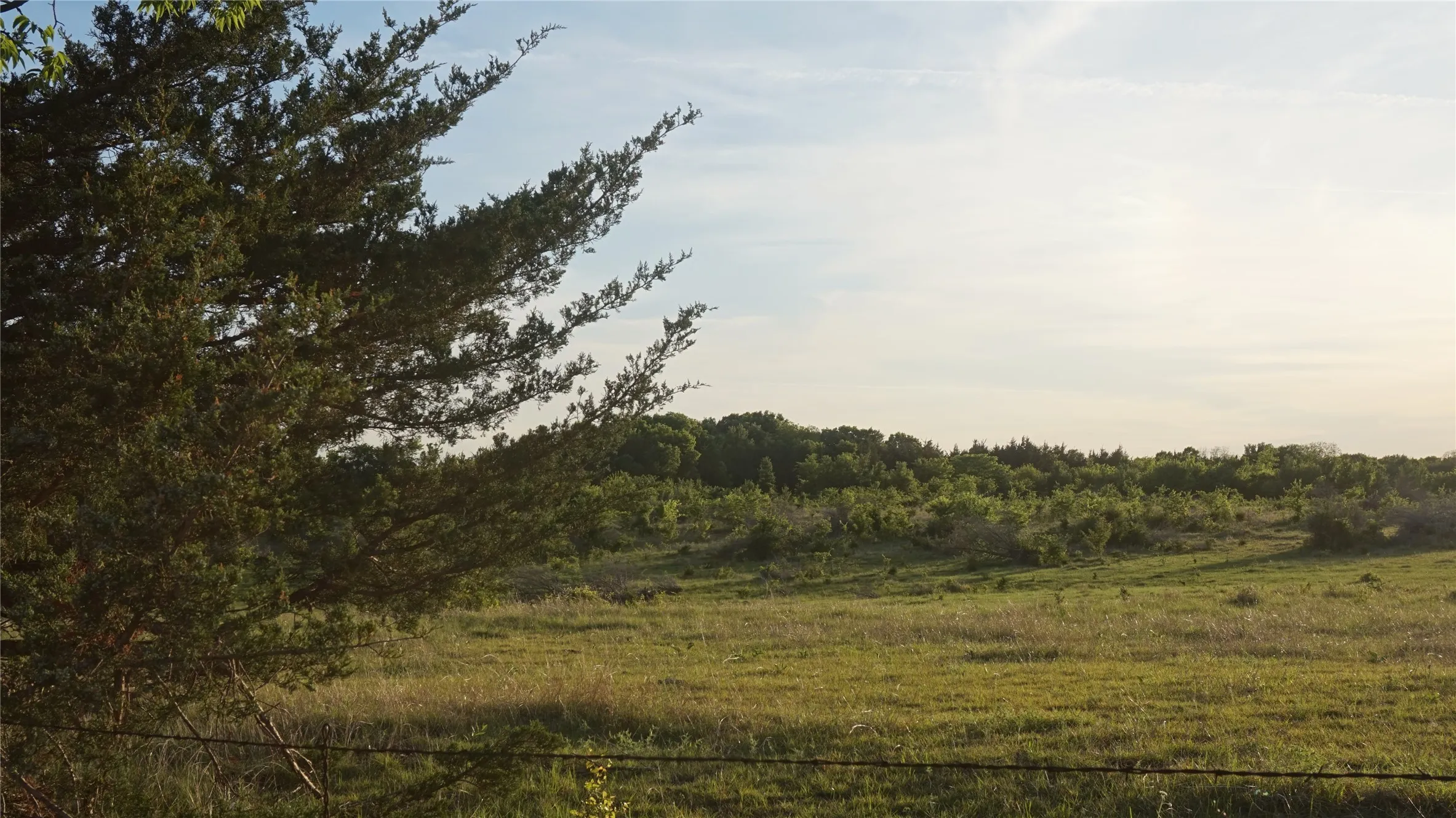 Unimproved Land For Sale in Grayson County , TBD Lot 1 Adams Road, Sherman, Texas 75090, 0, 0, Garage spaces, 0 Sqft, built in 0, mls#21150519, Real Estate Agent in Sherman, Homes For Sale in Grayson county, Homes For Sale in Sherman, Realtor in Sherman Texas, Real Estate Brokerage Independent Realty Texas, Luminita Cordes Realtor