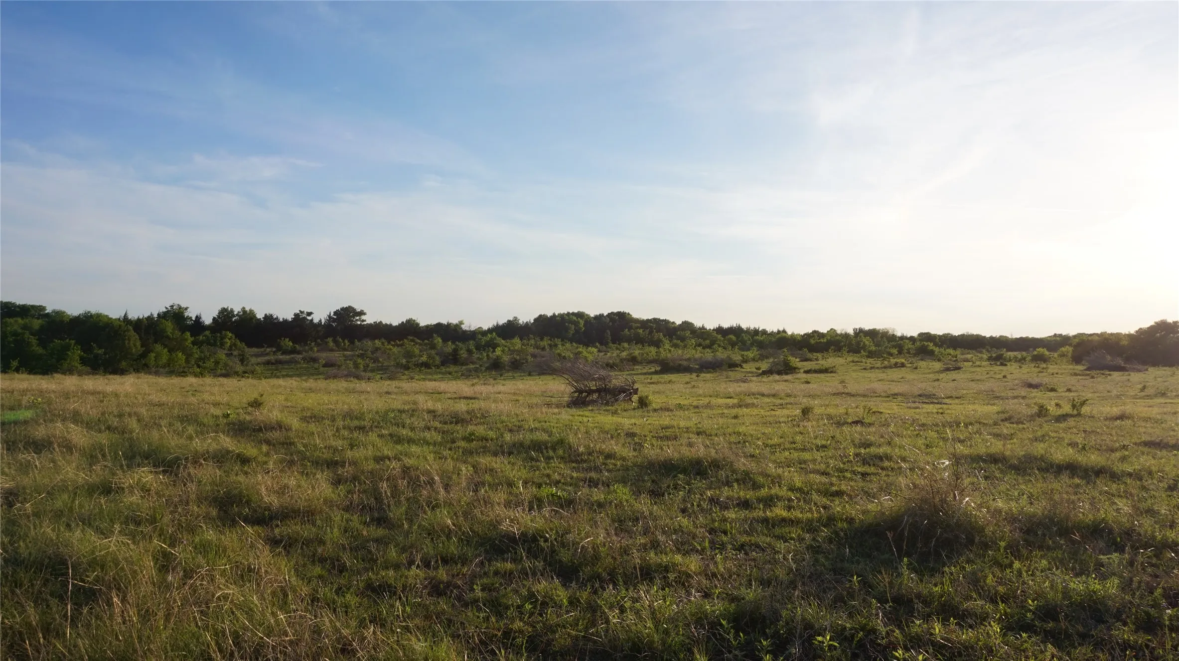 Unimproved Land For Sale in Grayson County , TBD Lot 1 Adams Road, Sherman, Texas 75090, 0, 0, Garage spaces, 0 Sqft, built in 0, mls#21150519, Real Estate Agent in Sherman, Homes For Sale in Grayson county, Homes For Sale in Sherman, Realtor in Sherman Texas, Real Estate Brokerage Independent Realty Texas, Luminita Cordes Realtor