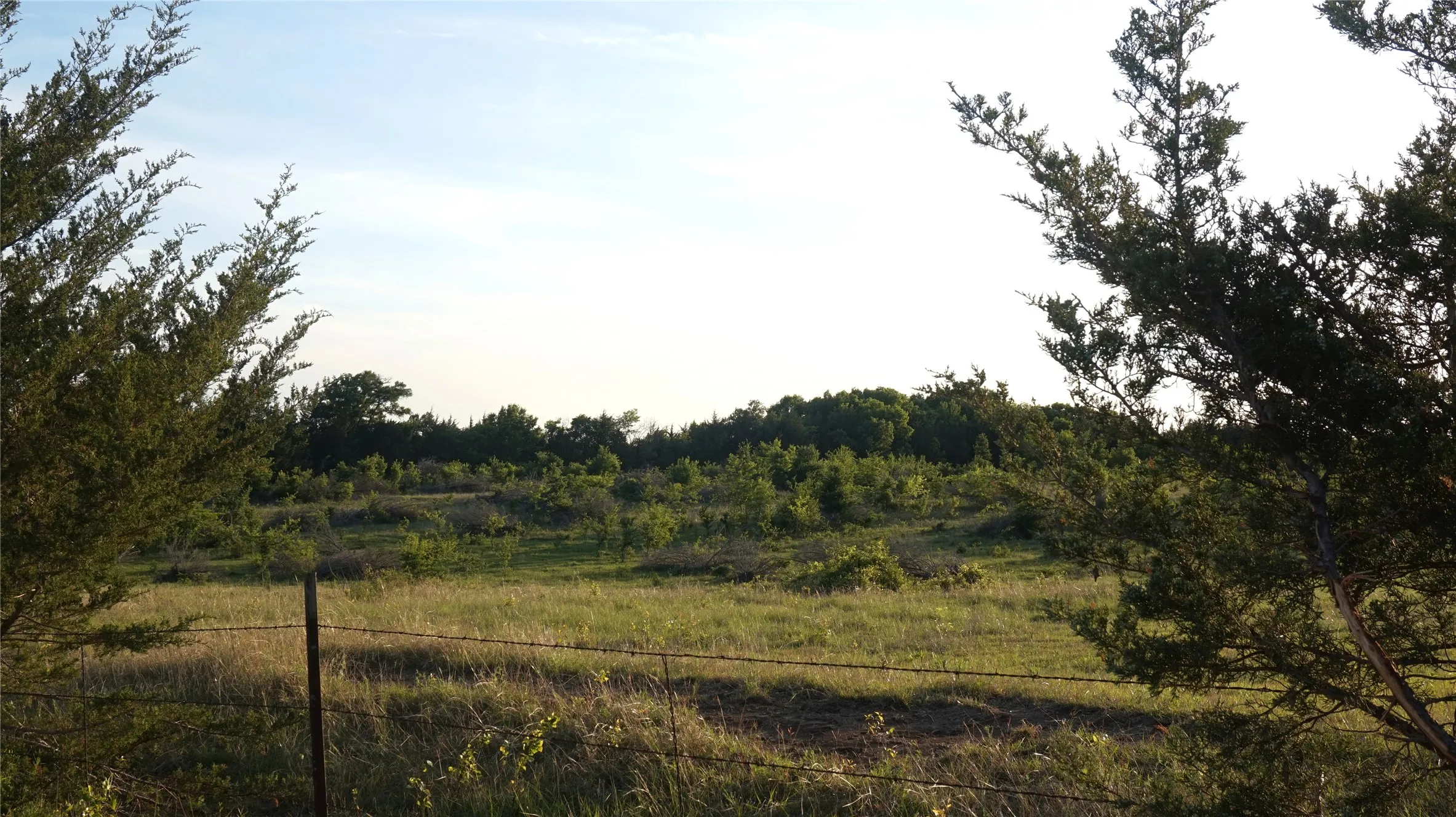 Unimproved Land For Sale in Grayson County , TBD Lot 1 Adams Road, Sherman, Texas 75090, 0, 0, Garage spaces, 0 Sqft, built in 0, mls#21150519, Real Estate Agent in Sherman, Homes For Sale in Grayson county, Homes For Sale in Sherman, Realtor in Sherman Texas, Real Estate Brokerage Independent Realty Texas, Luminita Cordes Realtor