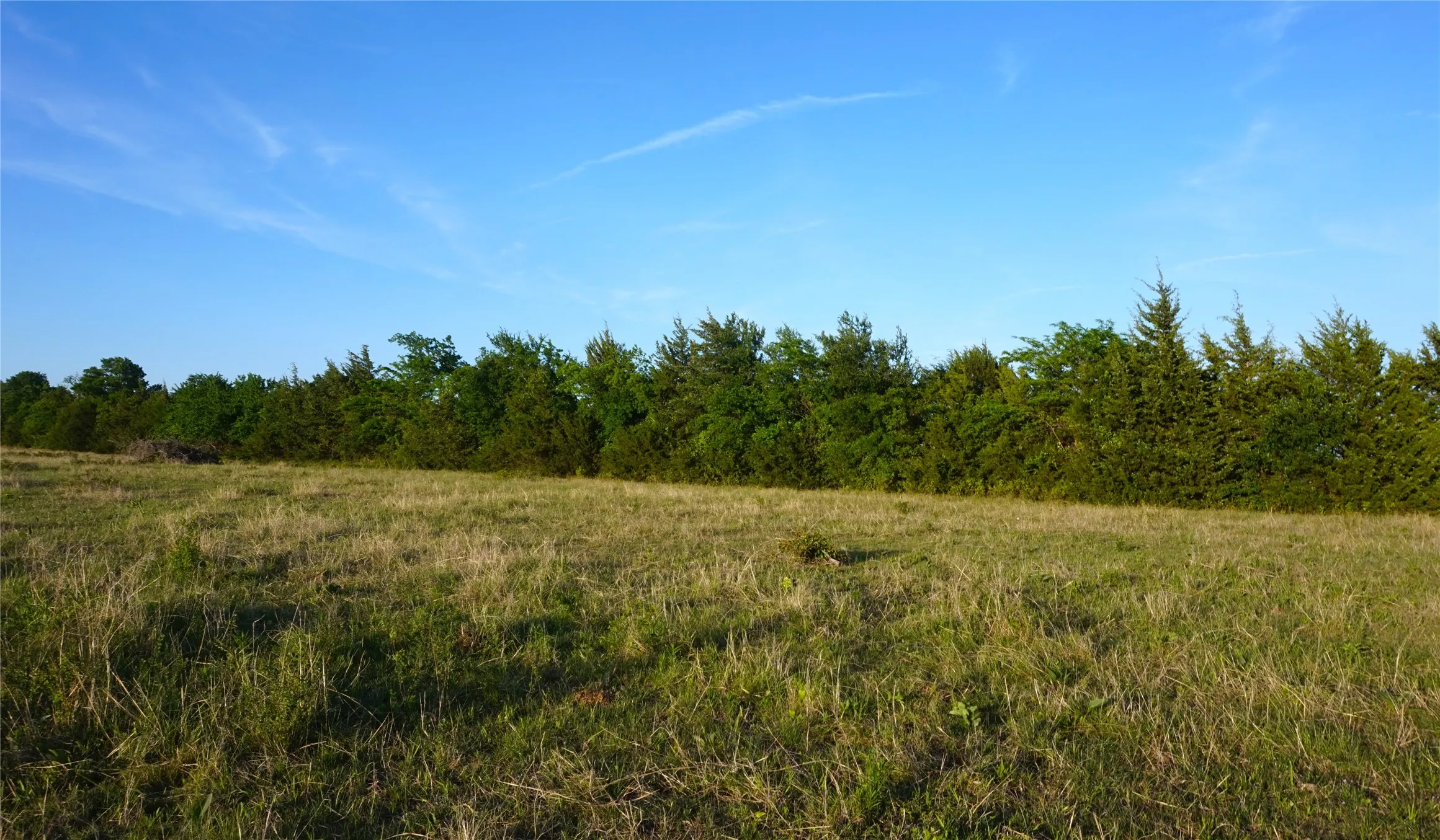 Unimproved Land For Sale in Grayson County , TBD Lot 1 Adams Road, Sherman, Texas 75090, 0, 0, Garage spaces, 0 Sqft, built in 0, mls#21150519, Real Estate Agent in Sherman, Homes For Sale in Grayson county, Homes For Sale in Sherman, Realtor in Sherman Texas, Real Estate Brokerage Independent Realty Texas, Luminita Cordes Realtor