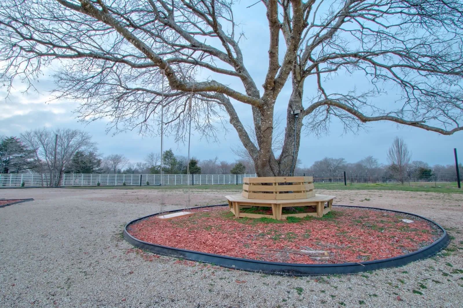 Bench seating around oak tree.