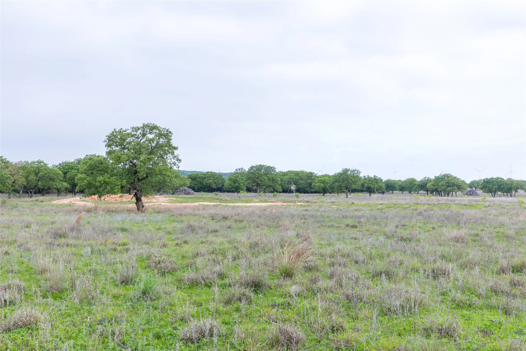 Ranch For Sale in Taylor County , 1034 County Road 207, Ovalo, Texas 79541, 0, 0, Garage spaces, 0 Sqft, built in 0, Price $3,900,000, mls#21133168, Real Estate Agent in Ovalo, Homes For Sale in Taylor county, Homes For Sale in Ovalo, Realtor in Ovalo Texas, Real Estate Brokerage Independent Realty Texas, Luminita Cordes Realtor