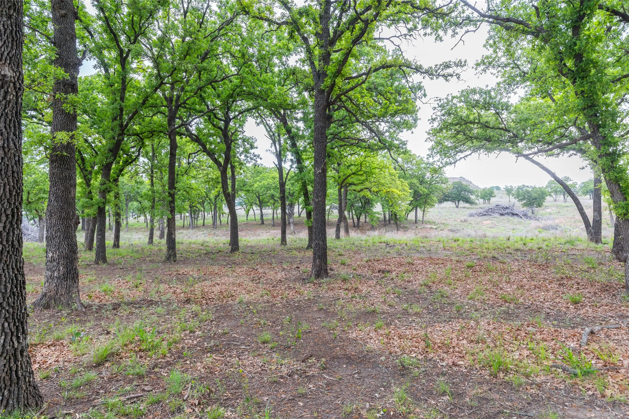 Ranch For Sale in Taylor County , 1034 County Road 207, Ovalo, Texas 79541, 0, 0, Garage spaces, 0 Sqft, built in 0, Price $3,900,000, mls#21133168, Real Estate Agent in Ovalo, Homes For Sale in Taylor county, Homes For Sale in Ovalo, Realtor in Ovalo Texas, Real Estate Brokerage Independent Realty Texas, Luminita Cordes Realtor