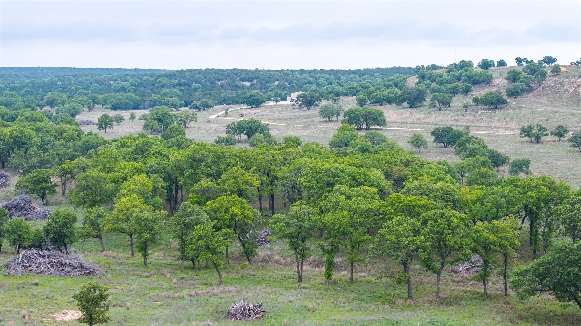 Ranch For Sale in Taylor County , 1034 County Road 207, Ovalo, Texas 79541, 0, 0, Garage spaces, 0 Sqft, built in 0, Price $3,900,000, mls#21133168, Real Estate Agent in Ovalo, Homes For Sale in Taylor county, Homes For Sale in Ovalo, Realtor in Ovalo Texas, Real Estate Brokerage Independent Realty Texas, Luminita Cordes Realtor