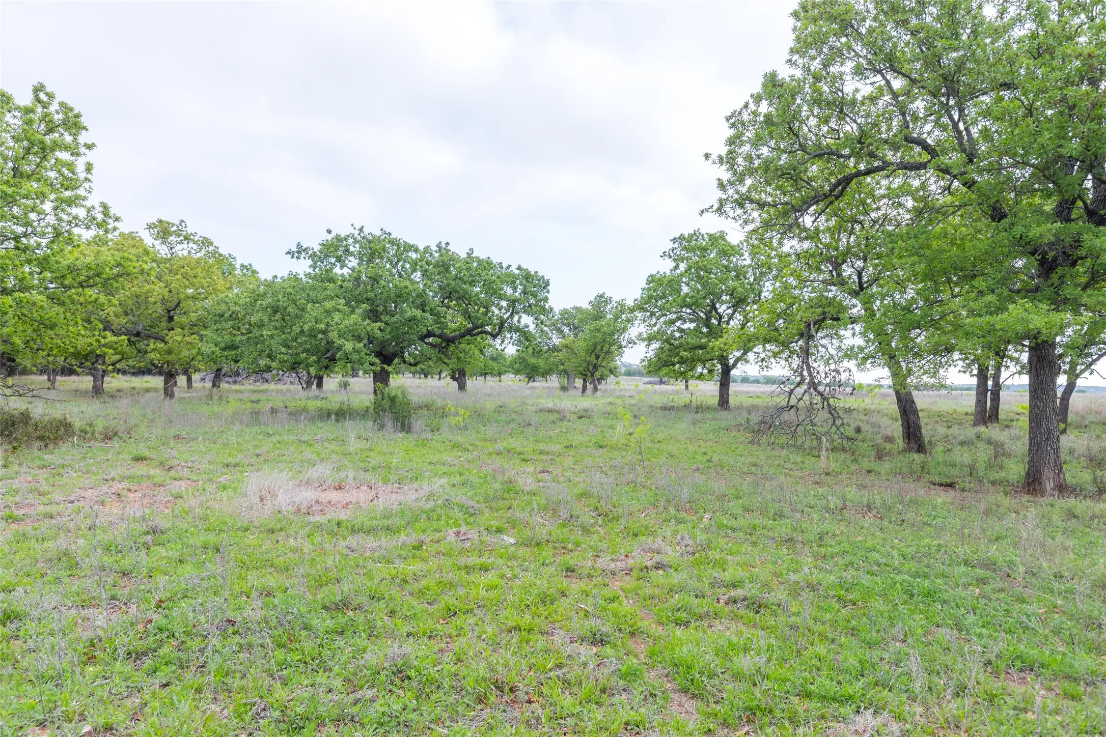 Ranch For Sale in Taylor County , 1034 County Road 207, Ovalo, Texas 79541, 0, 0, Garage spaces, 0 Sqft, built in 0, Price $3,900,000, mls#21133168, Real Estate Agent in Ovalo, Homes For Sale in Taylor county, Homes For Sale in Ovalo, Realtor in Ovalo Texas, Real Estate Brokerage Independent Realty Texas, Luminita Cordes Realtor