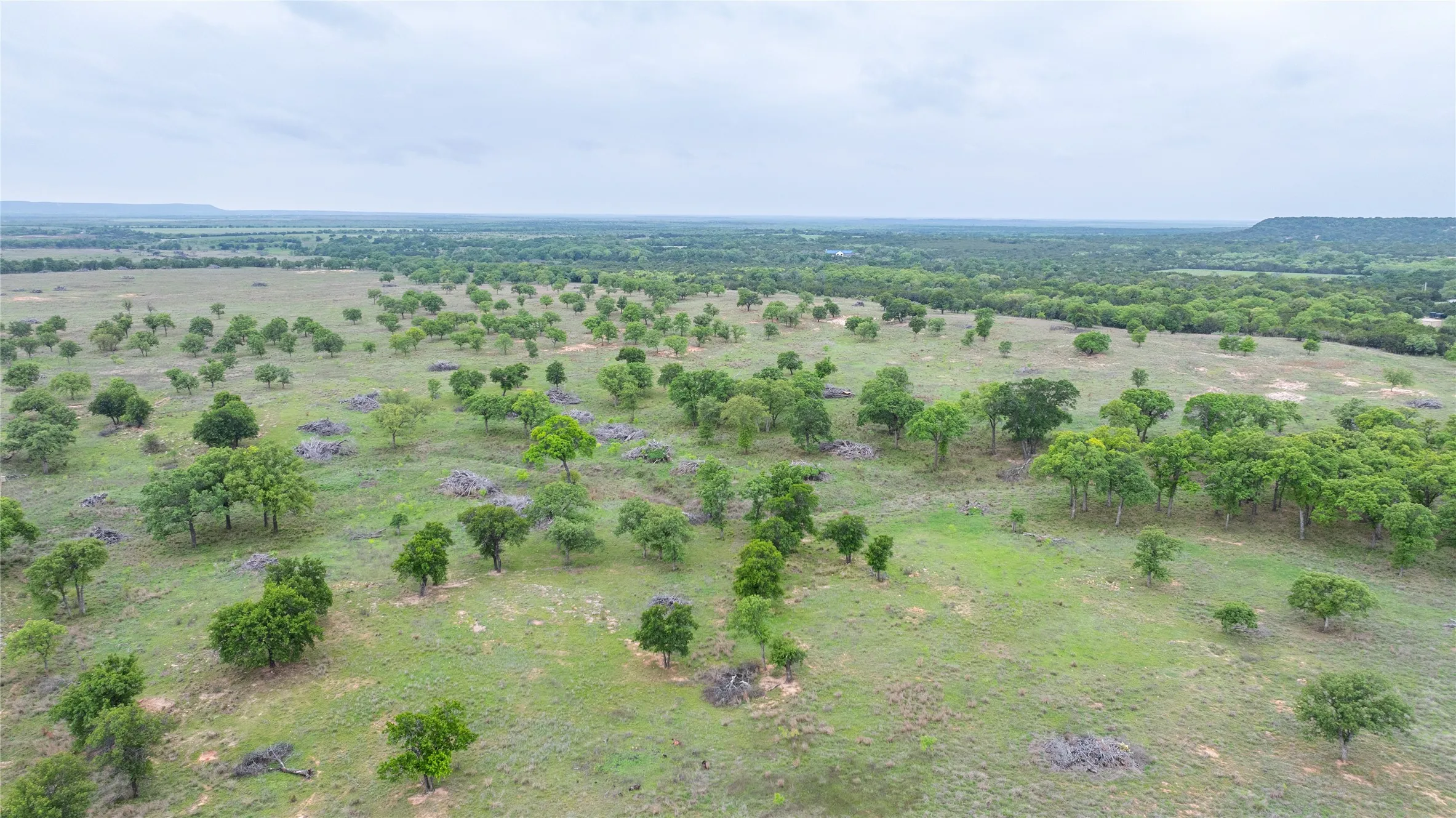 Ranch For Sale in Taylor County , 1034 County Road 207, Ovalo, Texas 79541, 0, 0, Garage spaces, 0 Sqft, built in 0, Price $3,900,000, mls#21133168, Real Estate Agent in Ovalo, Homes For Sale in Taylor county, Homes For Sale in Ovalo, Realtor in Ovalo Texas, Real Estate Brokerage Independent Realty Texas, Luminita Cordes Realtor