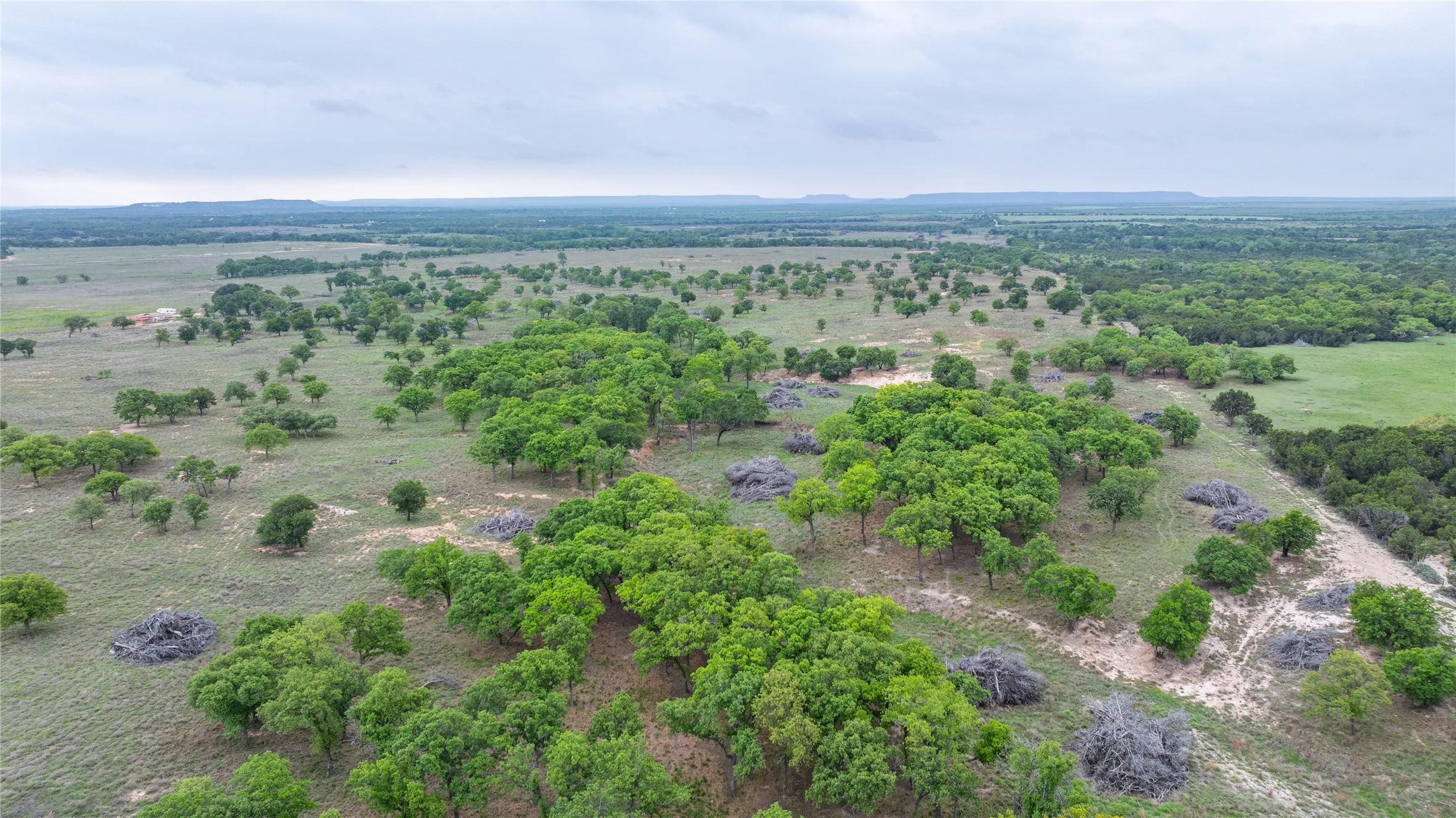 Ranch For Sale in Taylor County , 1034 County Road 207, Ovalo, Texas 79541, 0, 0, Garage spaces, 0 Sqft, built in 0, Price $3,900,000, mls#21133168, Real Estate Agent in Ovalo, Homes For Sale in Taylor county, Homes For Sale in Ovalo, Realtor in Ovalo Texas, Real Estate Brokerage Independent Realty Texas, Luminita Cordes Realtor