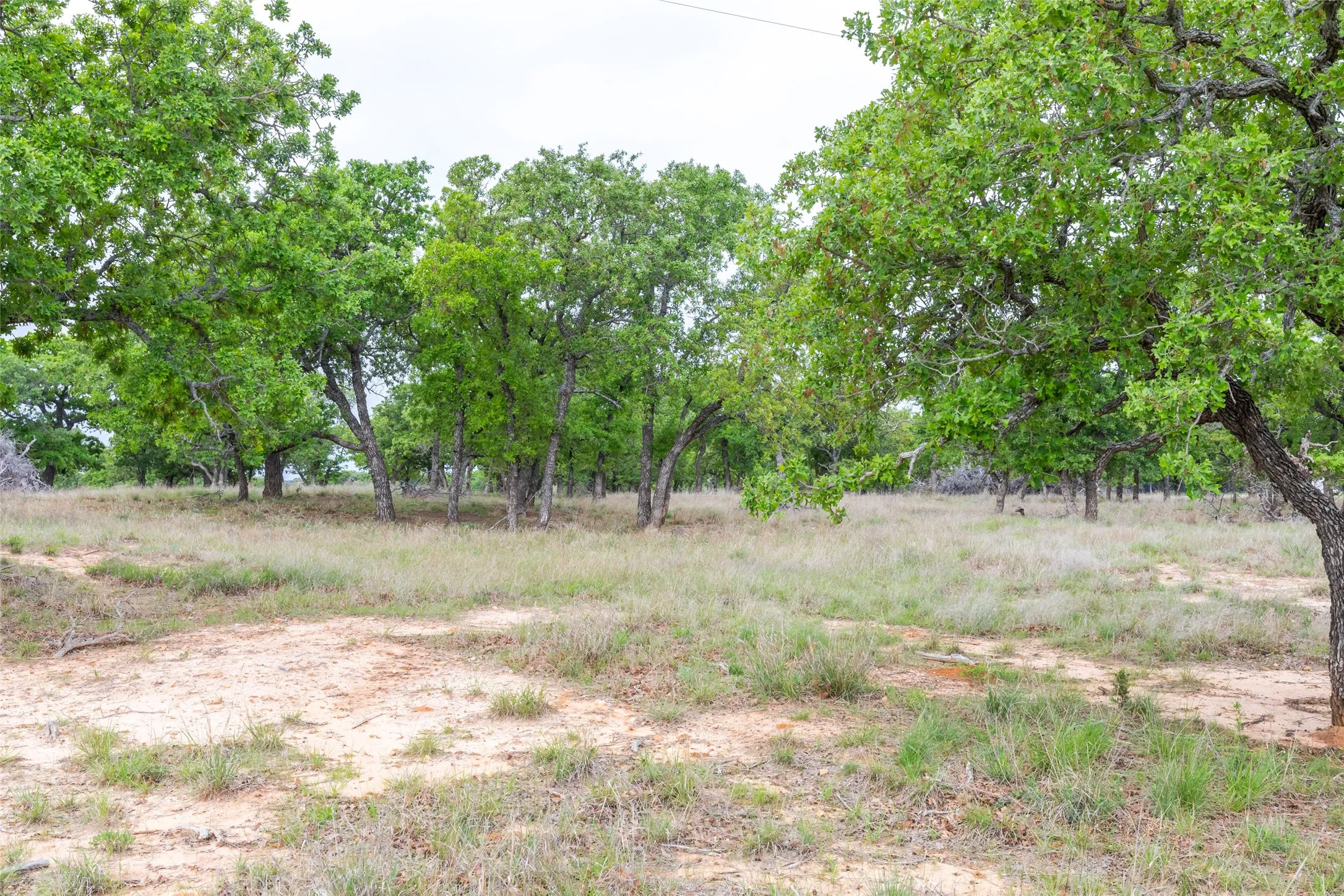 Ranch For Sale in Taylor County , 1034 County Road 207, Ovalo, Texas 79541, 0, 0, Garage spaces, 0 Sqft, built in 0, Price $3,900,000, mls#21133168, Real Estate Agent in Ovalo, Homes For Sale in Taylor county, Homes For Sale in Ovalo, Realtor in Ovalo Texas, Real Estate Brokerage Independent Realty Texas, Luminita Cordes Realtor