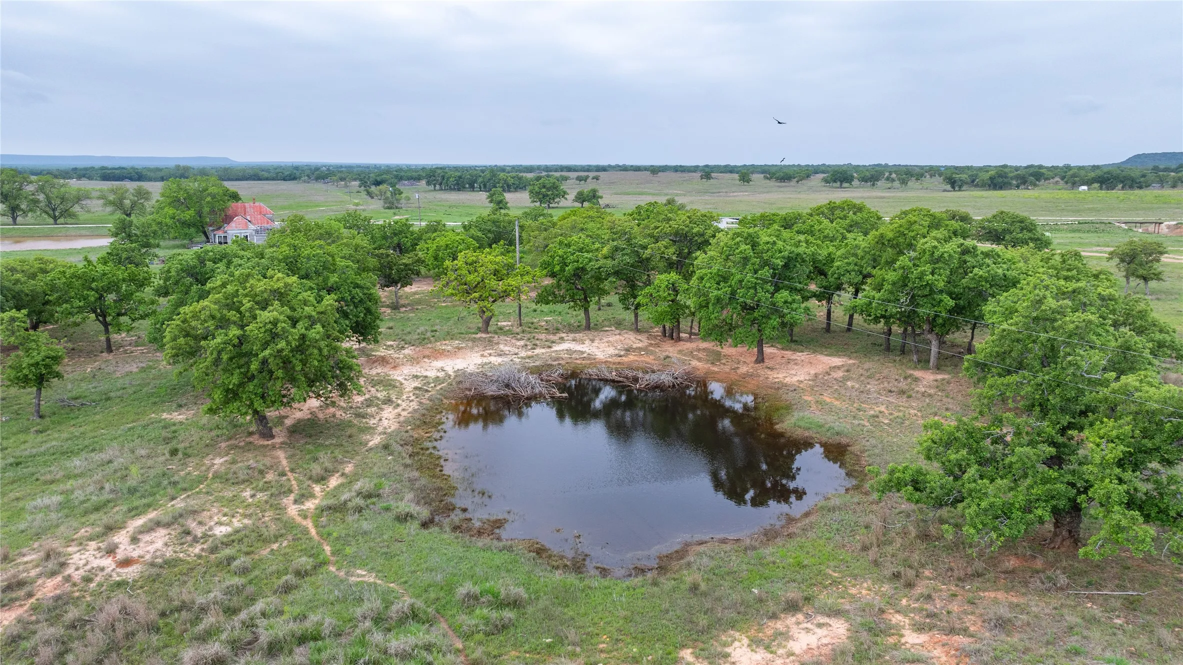 Ranch For Sale in Taylor County , 1034 County Road 207, Ovalo, Texas 79541, 0, 0, Garage spaces, 0 Sqft, built in 0, Price $3,900,000, mls#21133168, Real Estate Agent in Ovalo, Homes For Sale in Taylor county, Homes For Sale in Ovalo, Realtor in Ovalo Texas, Real Estate Brokerage Independent Realty Texas, Luminita Cordes Realtor