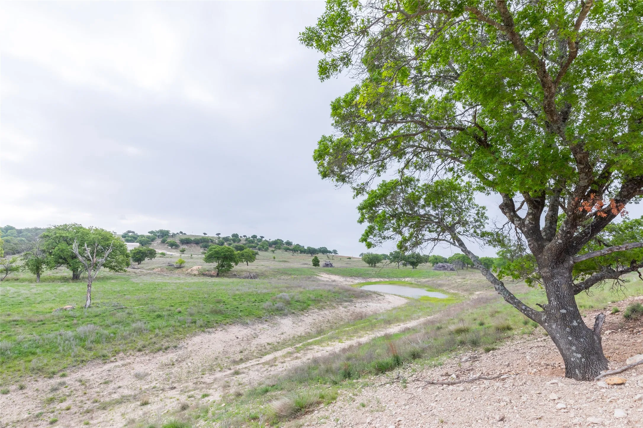 Ranch For Sale in Taylor County , 1034 County Road 207, Ovalo, Texas 79541, 0, 0, Garage spaces, 0 Sqft, built in 0, Price $3,900,000, mls#21133168, Real Estate Agent in Ovalo, Homes For Sale in Taylor county, Homes For Sale in Ovalo, Realtor in Ovalo Texas, Real Estate Brokerage Independent Realty Texas, Luminita Cordes Realtor
