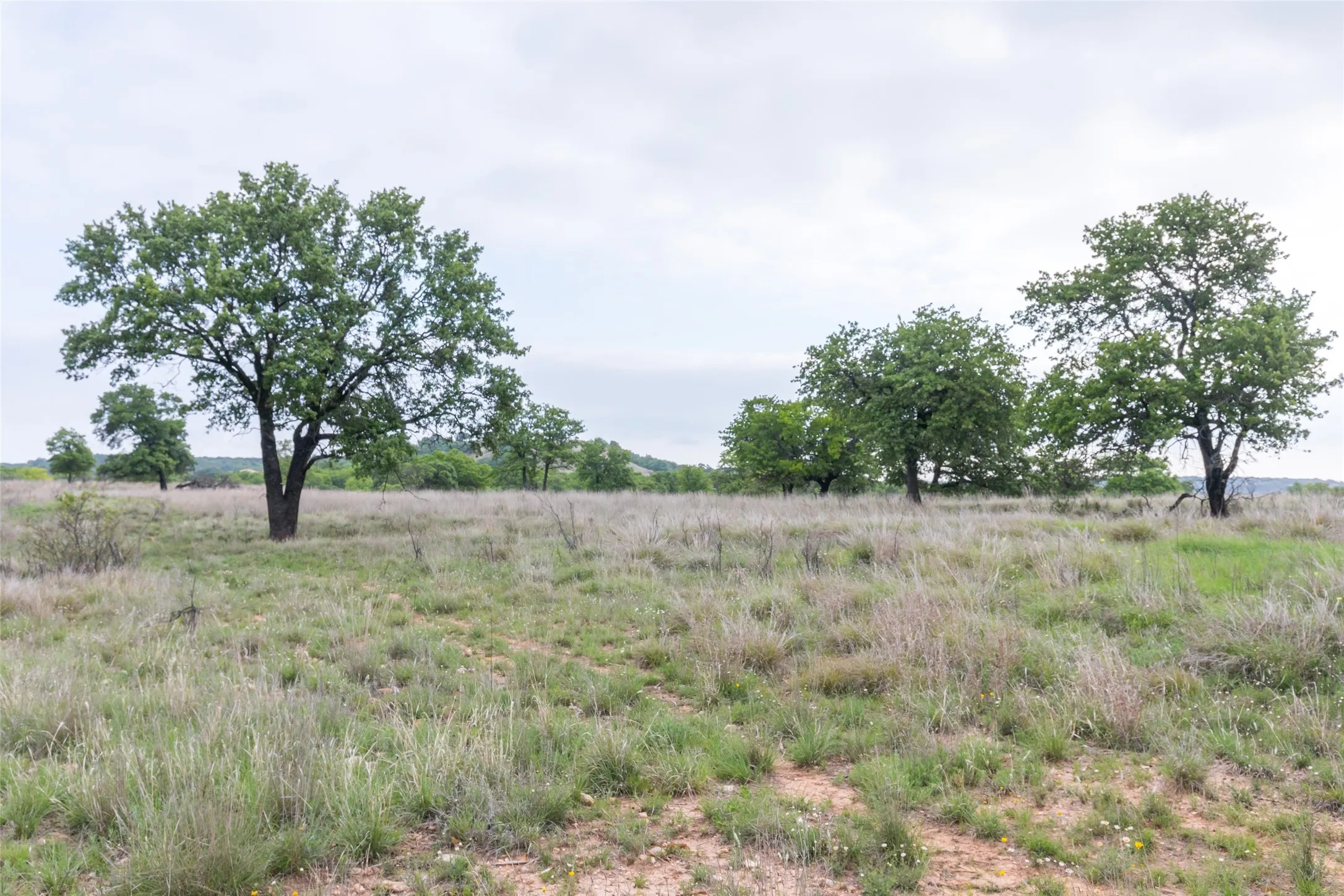 Ranch For Sale in Taylor County , 1034 County Road 207, Ovalo, Texas 79541, 0, 0, Garage spaces, 0 Sqft, built in 0, Price $3,900,000, mls#21133168, Real Estate Agent in Ovalo, Homes For Sale in Taylor county, Homes For Sale in Ovalo, Realtor in Ovalo Texas, Real Estate Brokerage Independent Realty Texas, Luminita Cordes Realtor